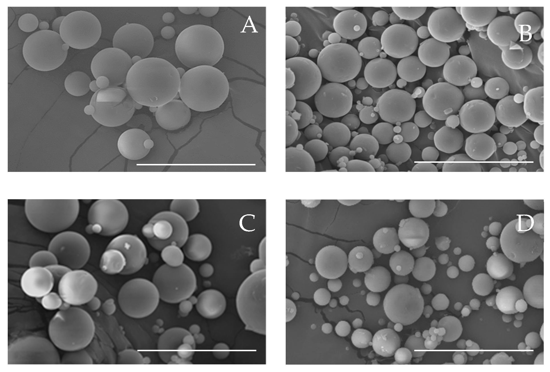 Proceedings 78 00031 g001