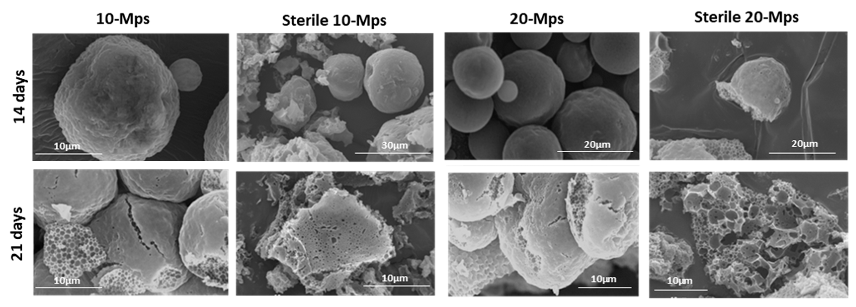 Proceedings 78 00031 g003