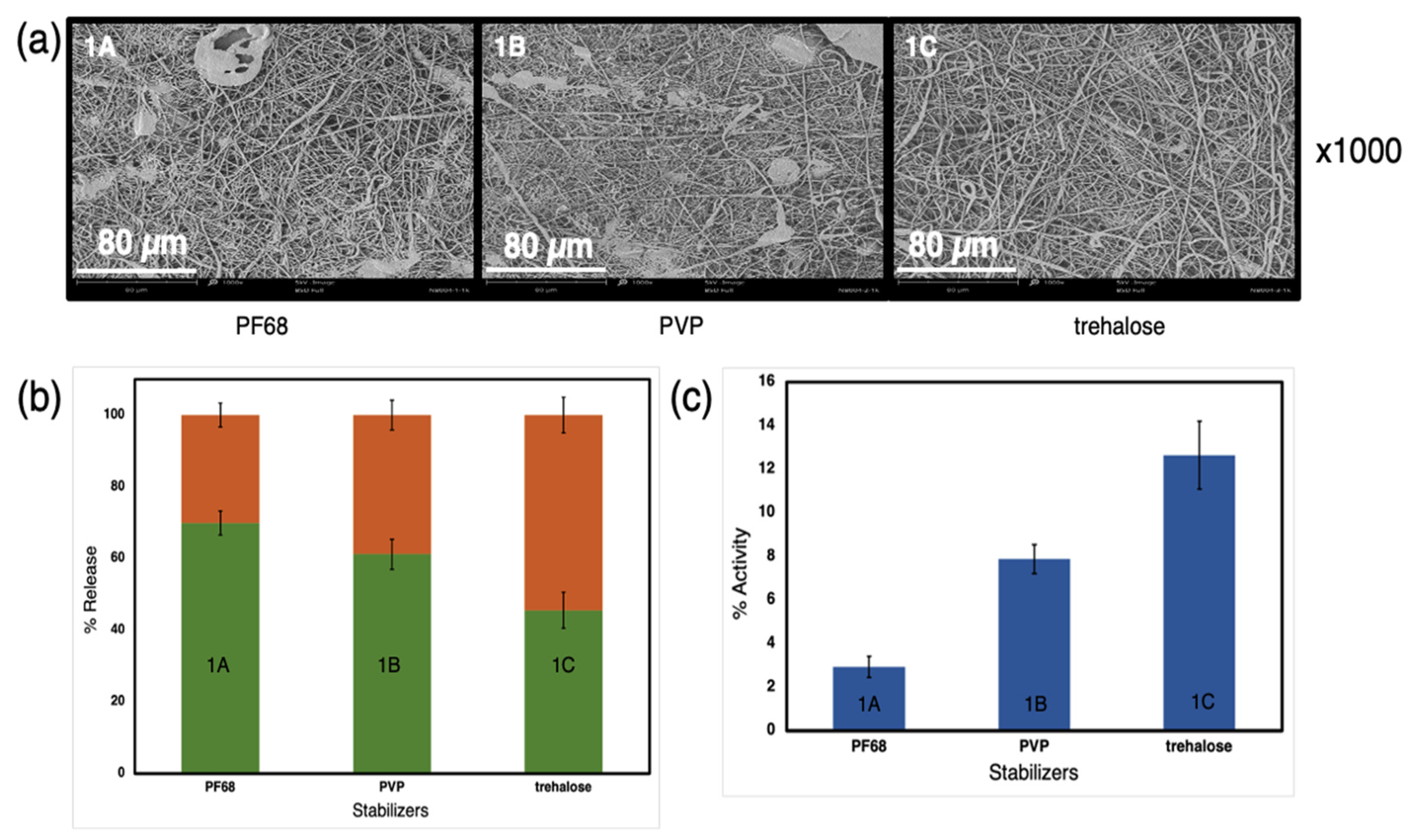 Proceedings 78 00039 g001