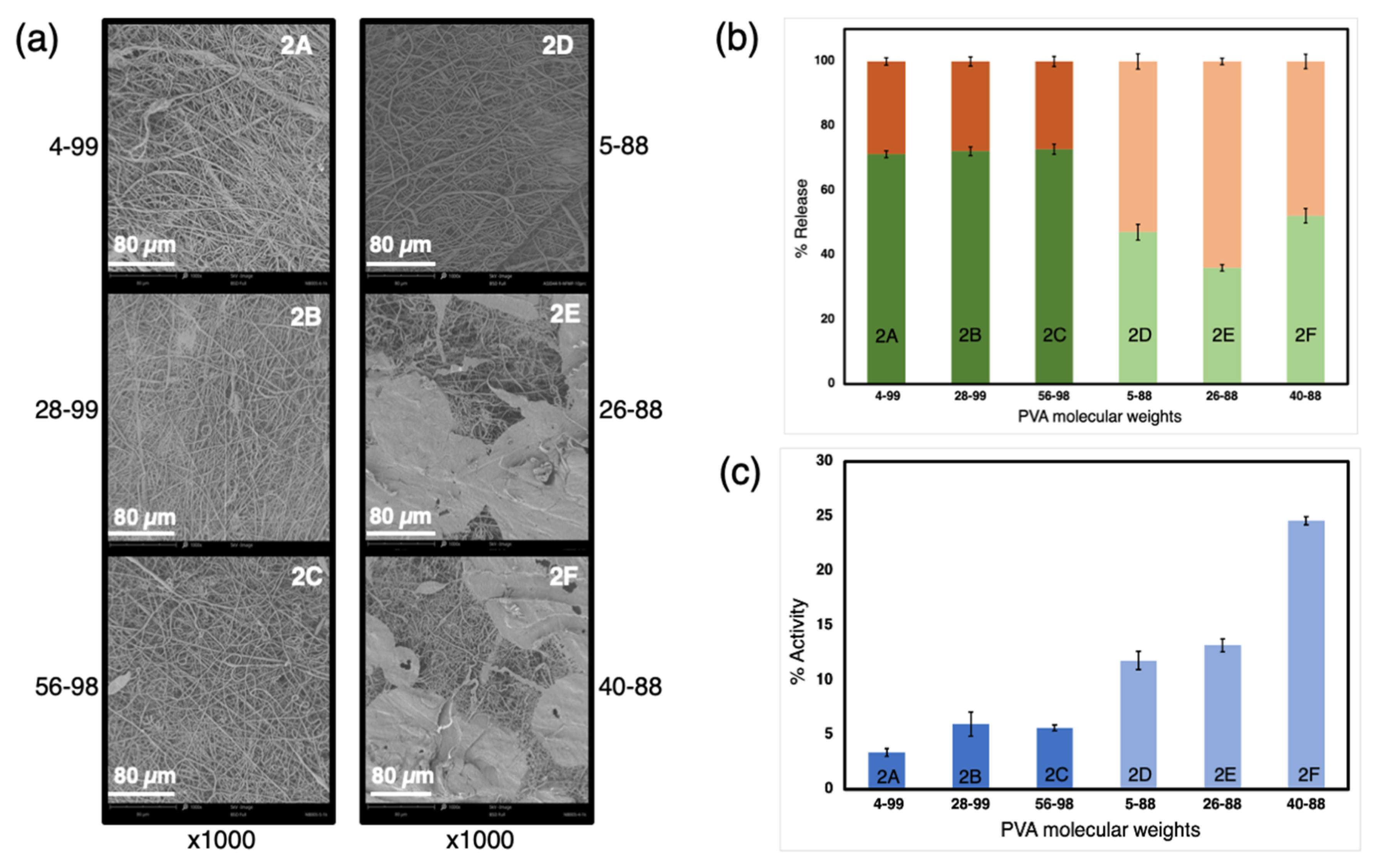 Proceedings 78 00039 g002