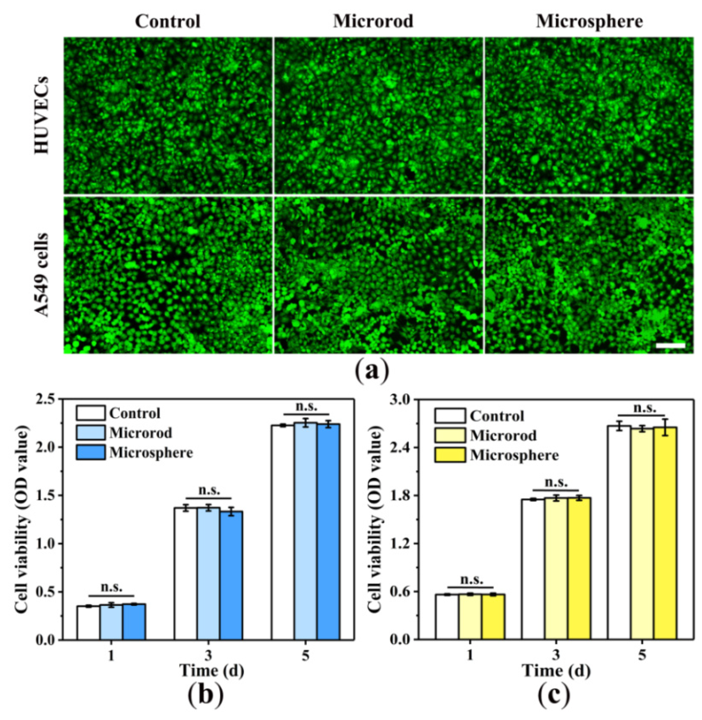 Proceedings 78 00044 g006