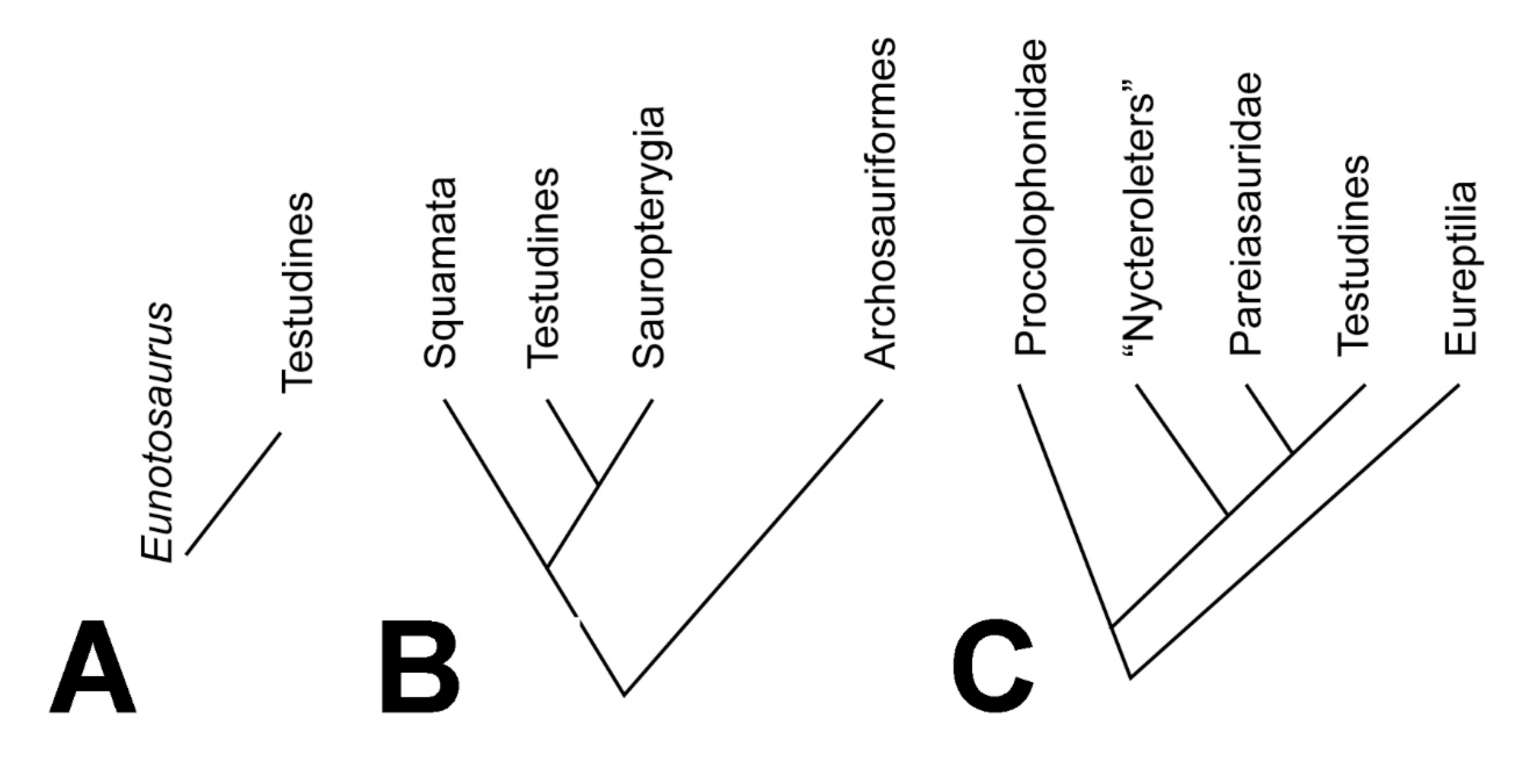 Proceedings 87 00004 g001