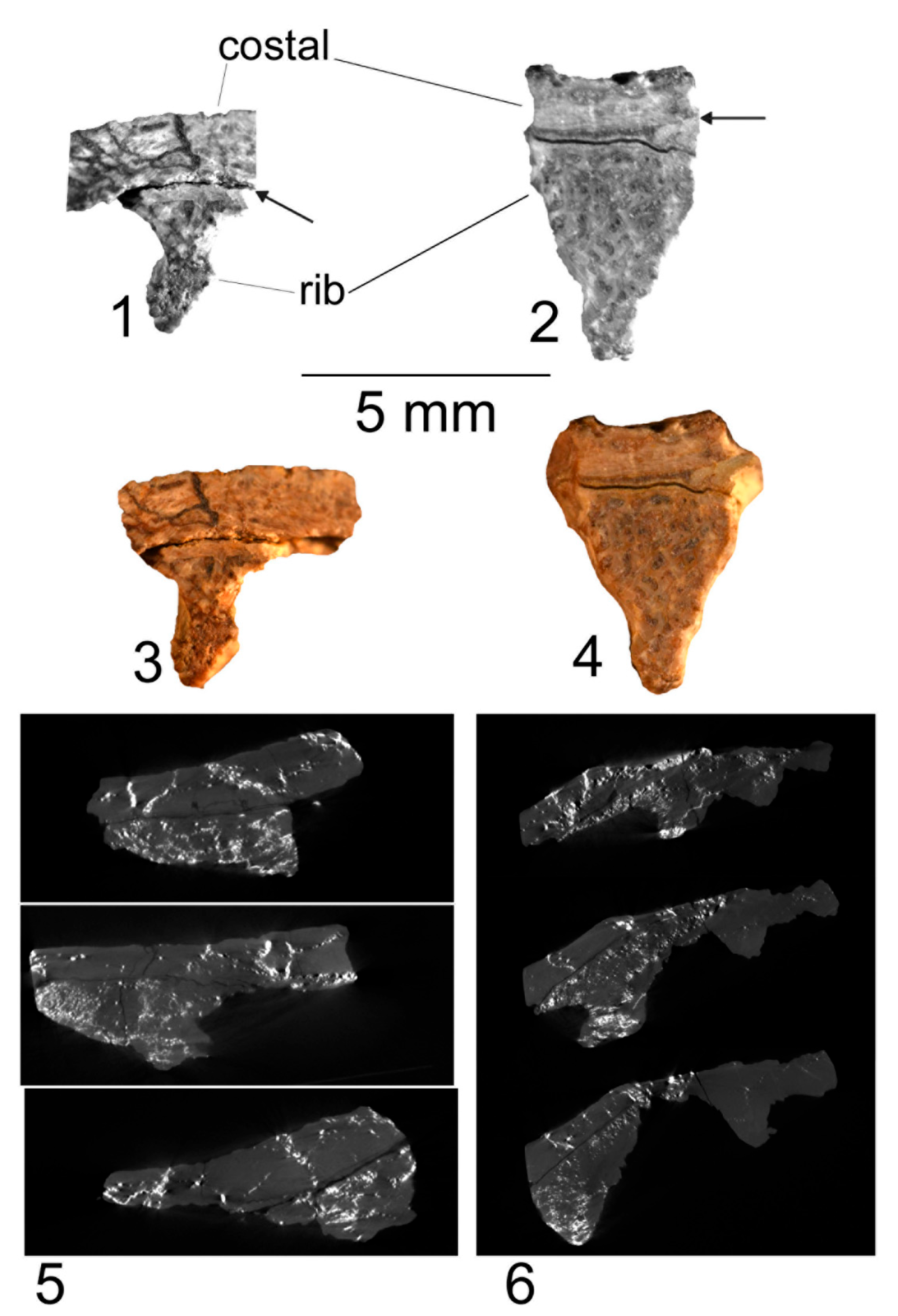 Proceedings 87 00004 g002