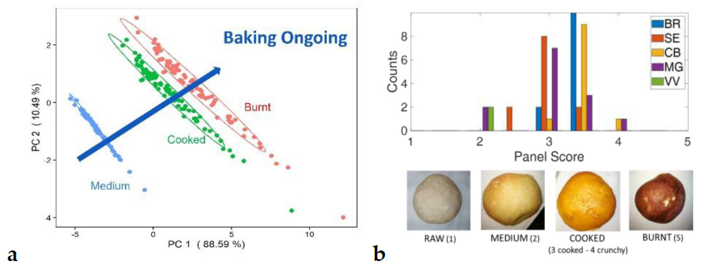 Proceedings 97 00172 g002