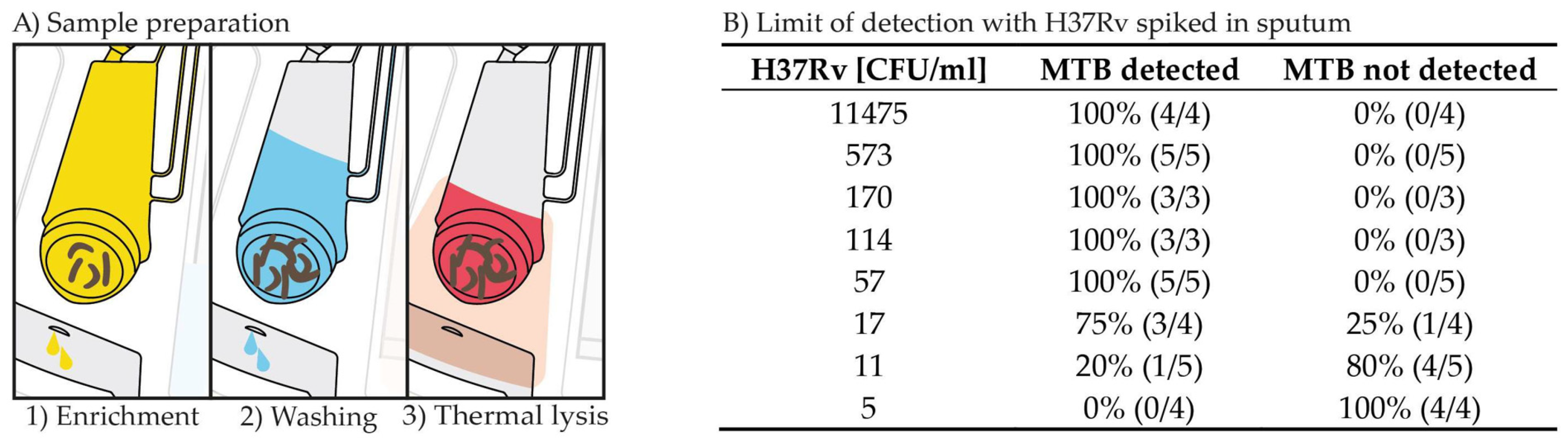 Proceedings 97 00208 g002