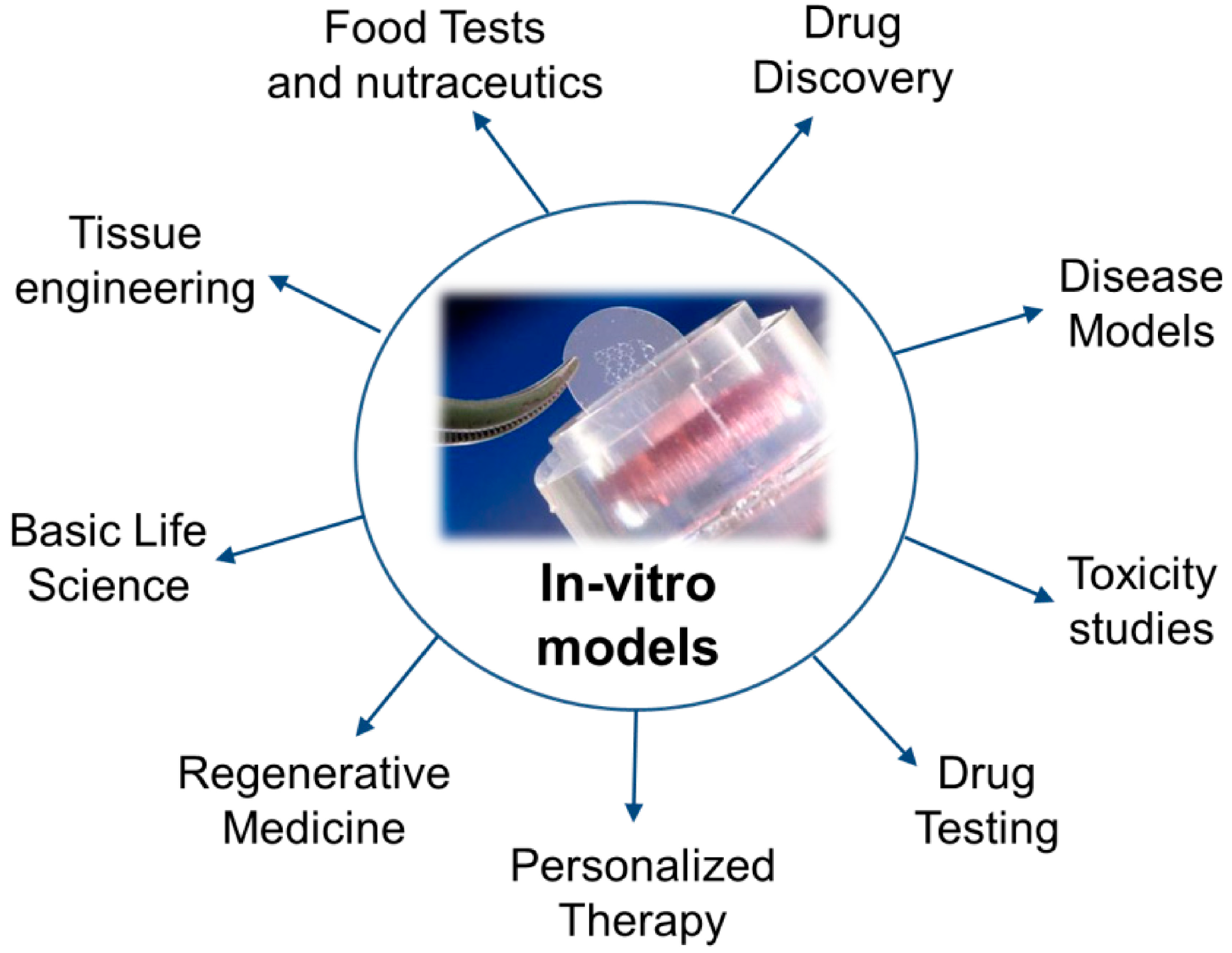 Que significa in vitro