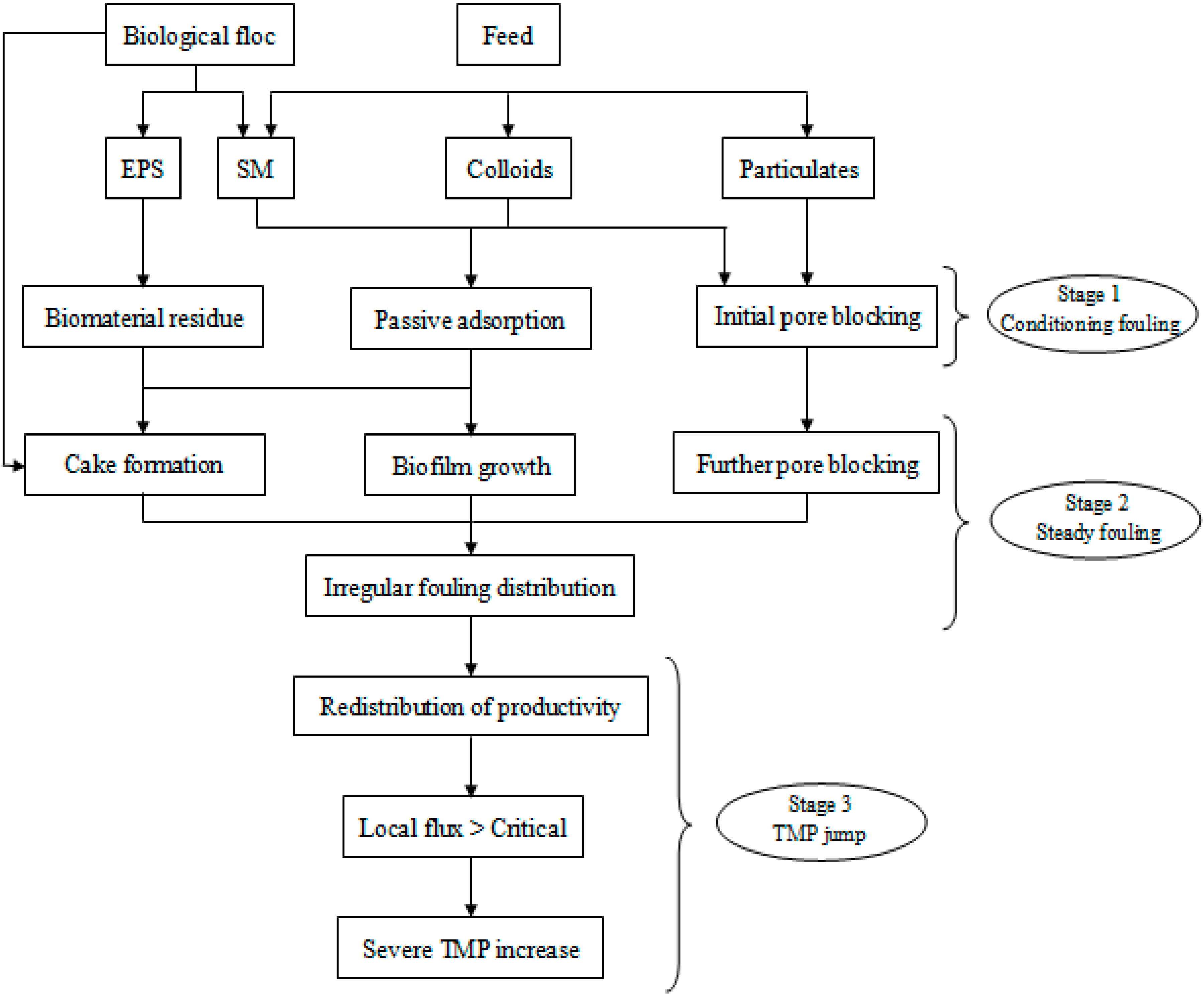 Processes Free Full Text Fouling Issues In Membrane