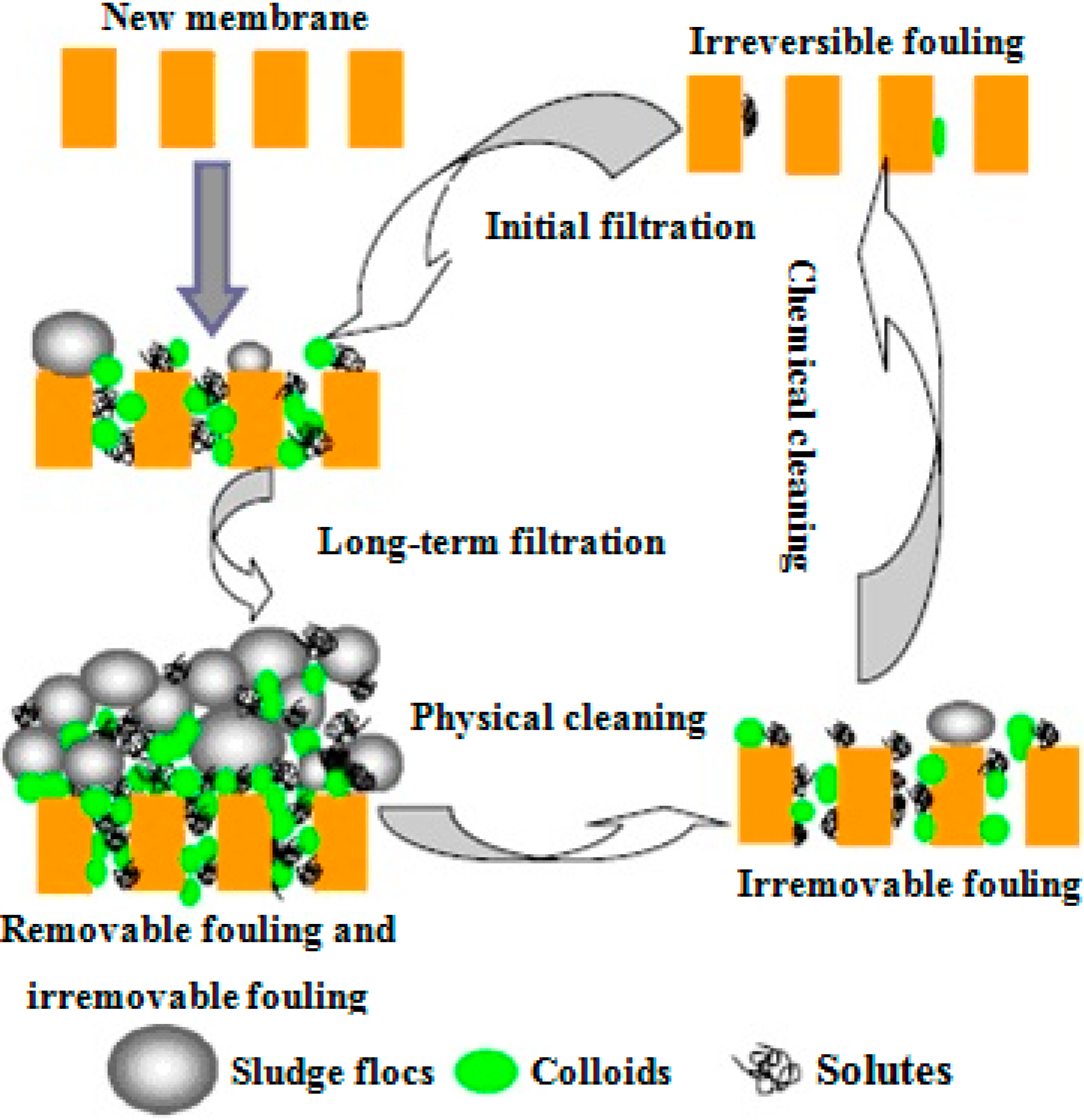 Processes | Free Full-Text | Fouling Issues in Membrane Bioreactors (MBRs)  for Wastewater Treatment: Major Mechanisms, Prevention and Control  Strategies | HTML