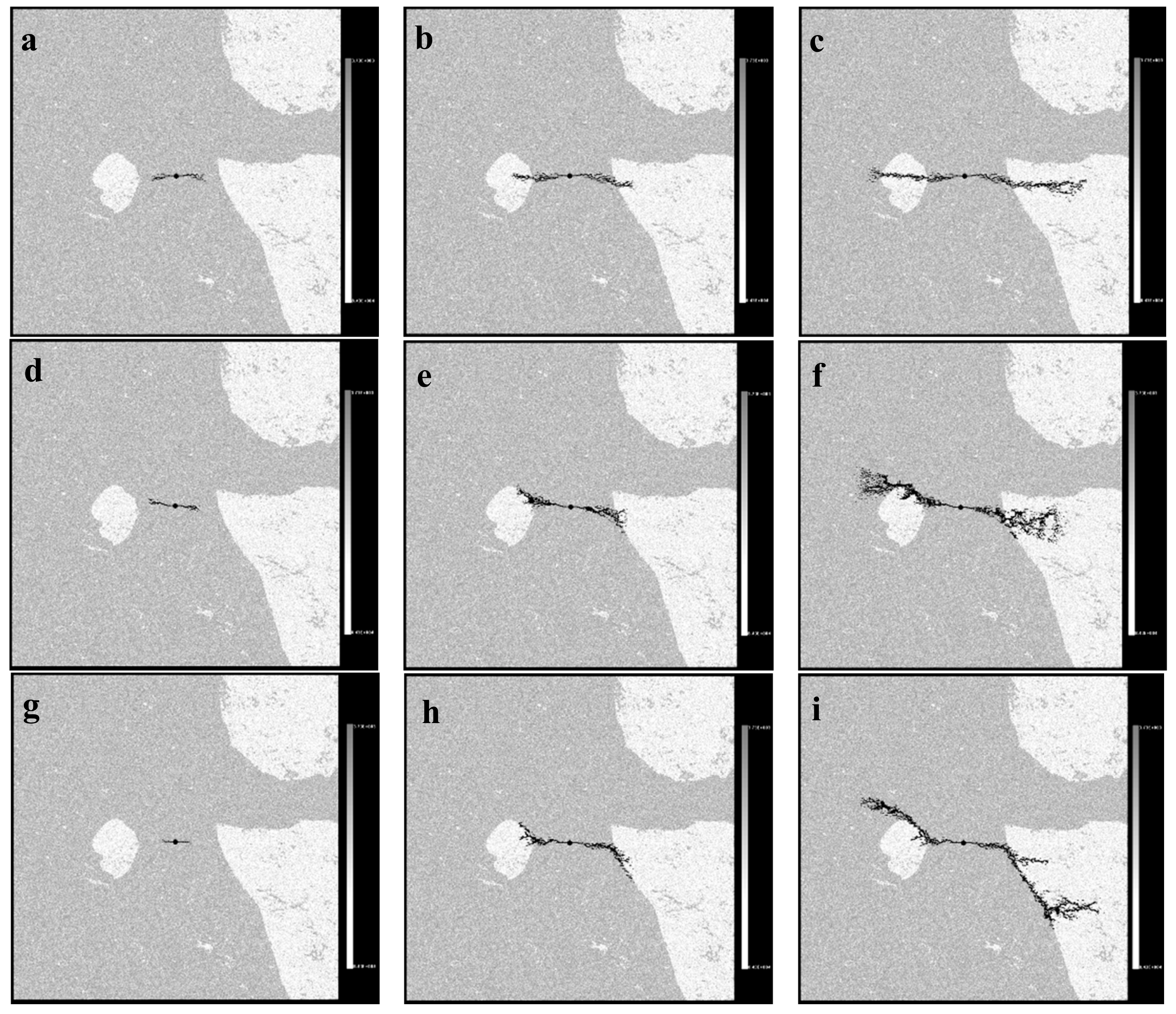 Processes 06 00096 g011