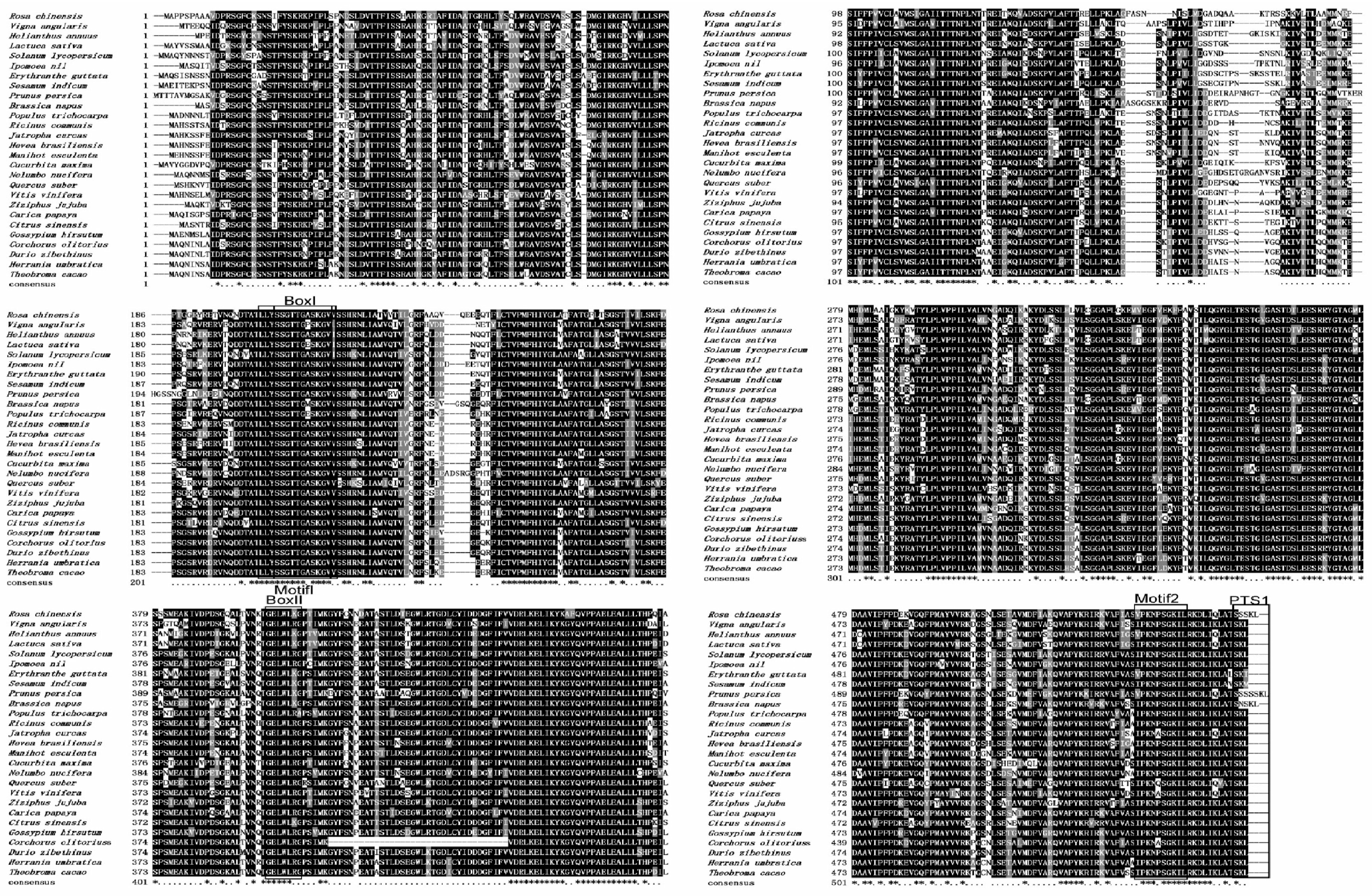 Processes 07 00045 g001