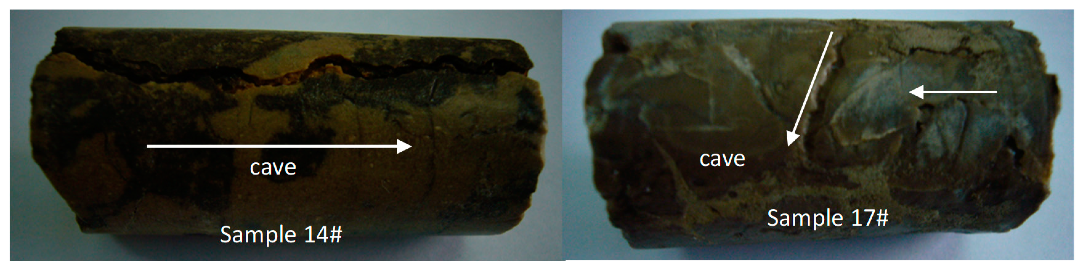 Processes 07 00159 g012