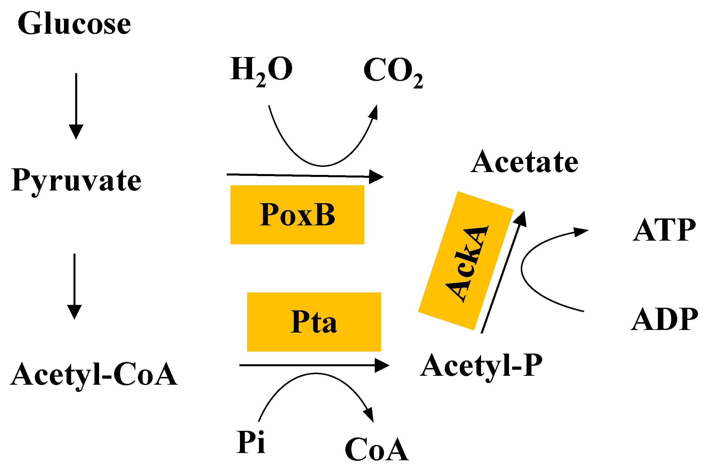 Processes 07 00213 g003 Processes 07 00213 g003