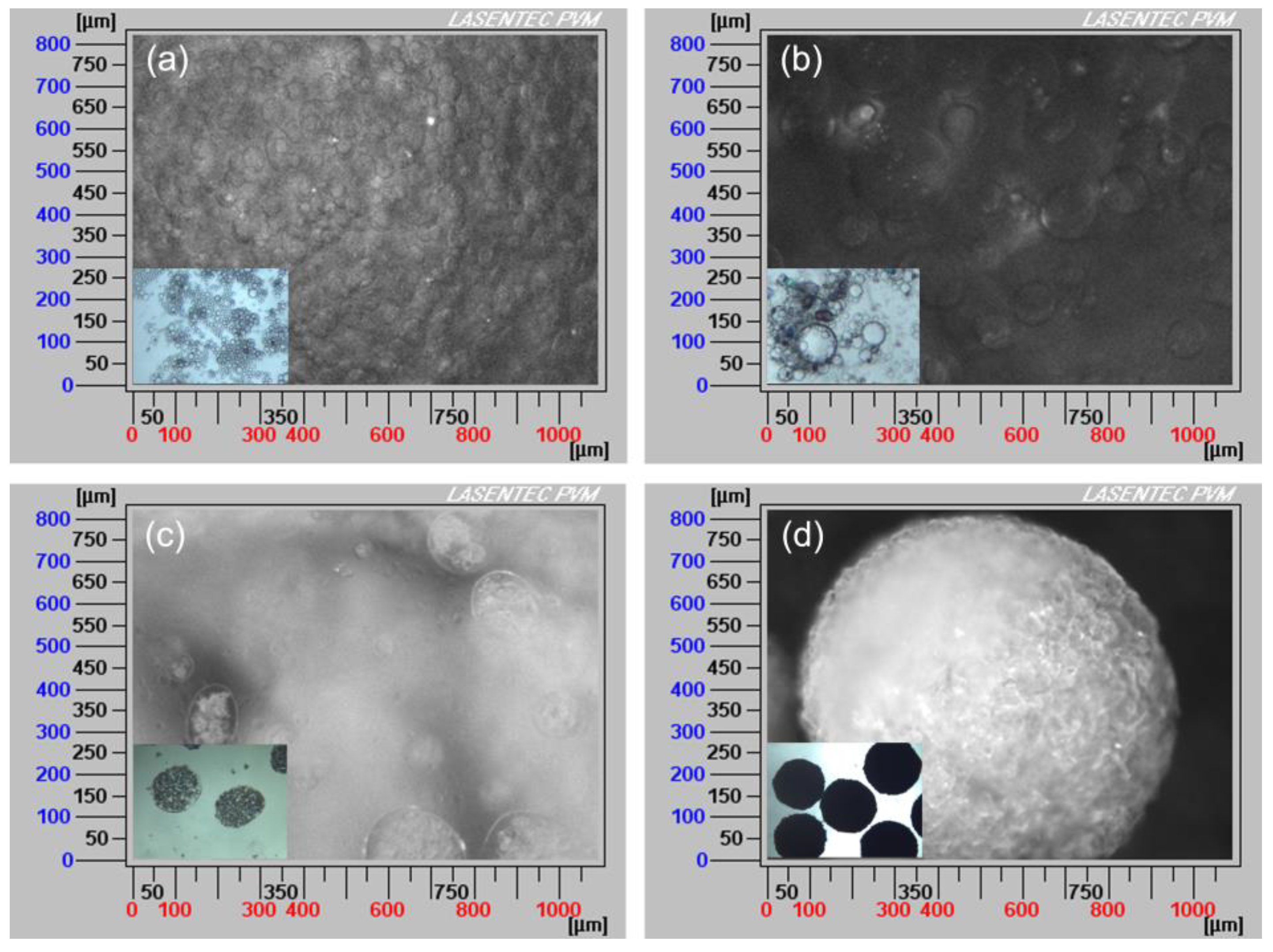 Processes 07 00276 g005 Processes 07 00276 g005