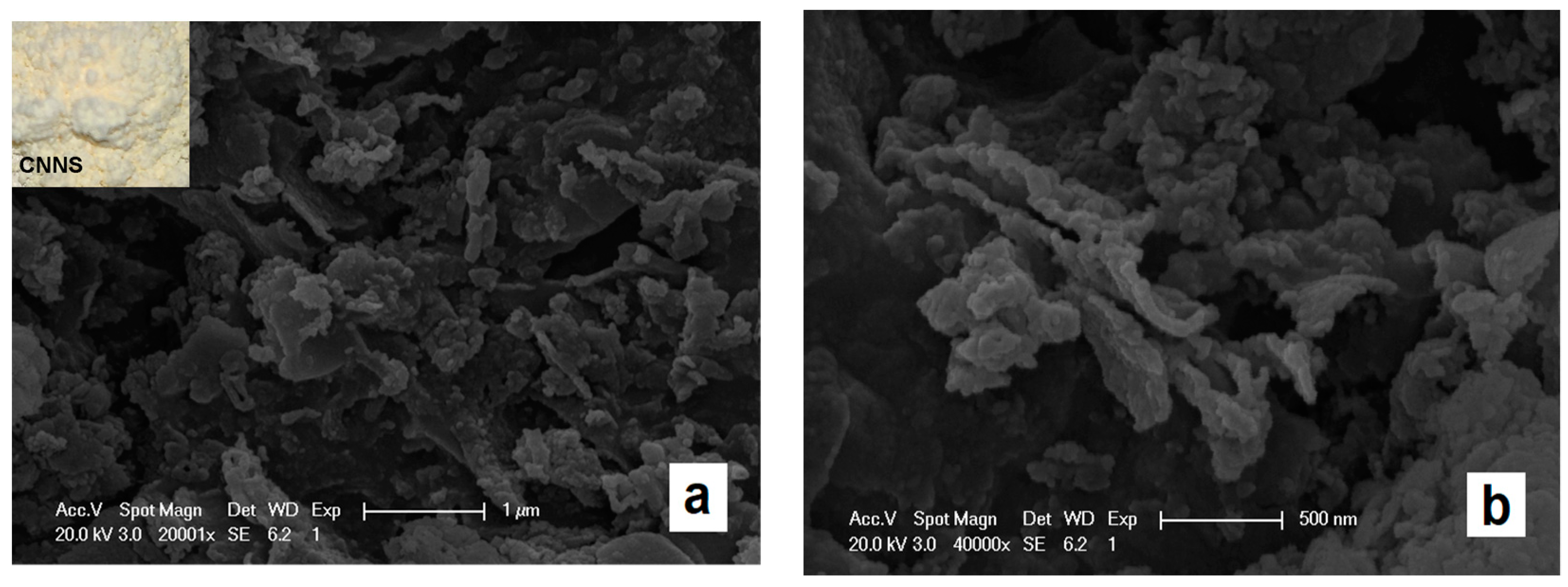 Processes 07 00279 g002