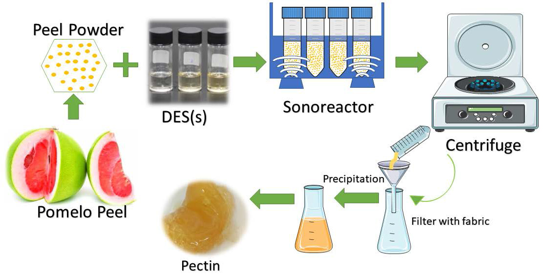 Pectin Extraction Pdf at Jenifer Dees blog