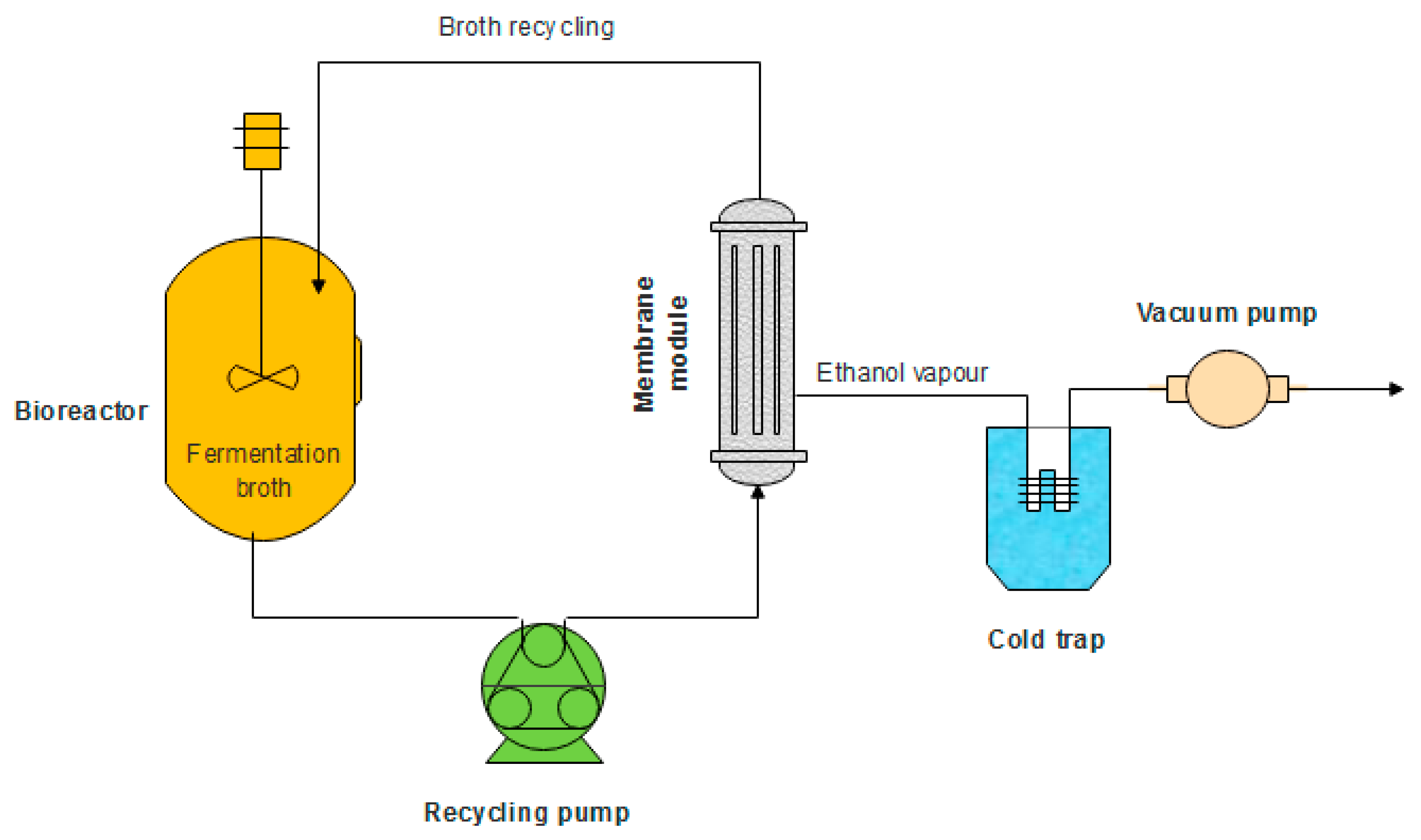 Ethanol Fermentation Equation