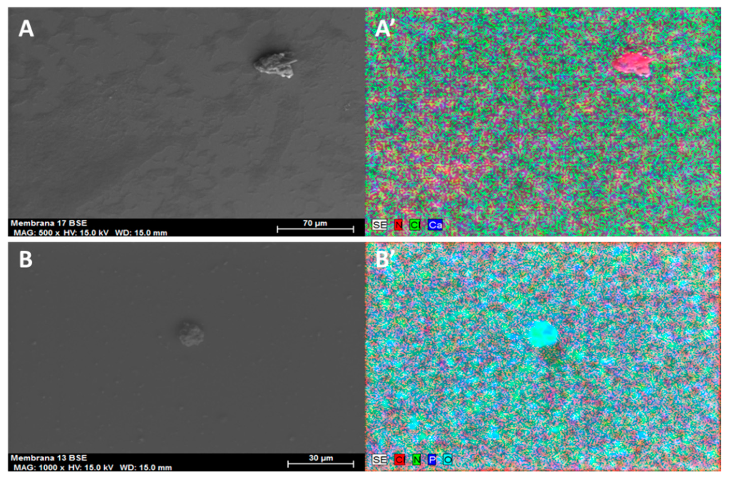 Processes 07 00544 g005 Processes 07 00544 g005