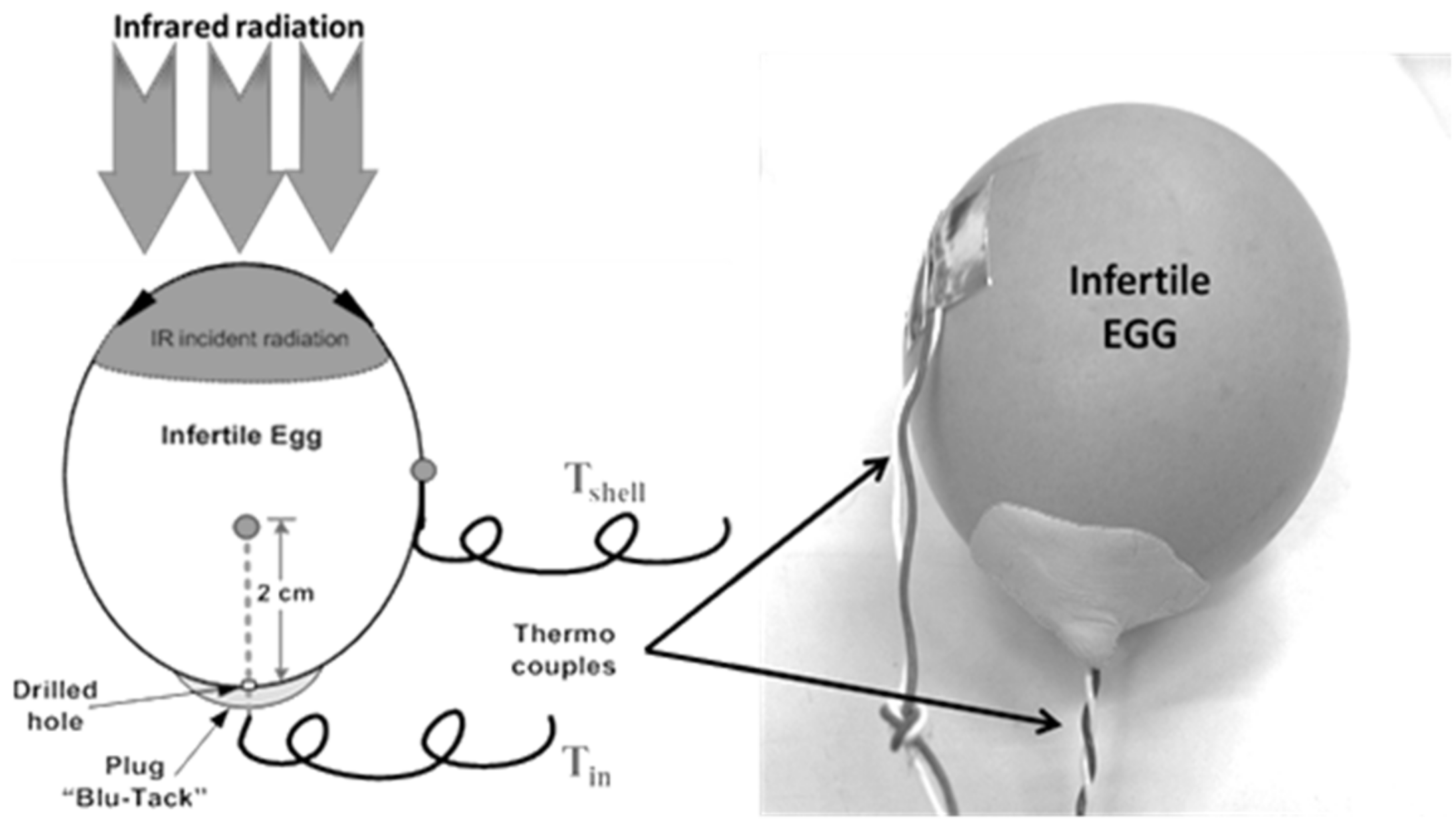 Processes 07 00651 g004