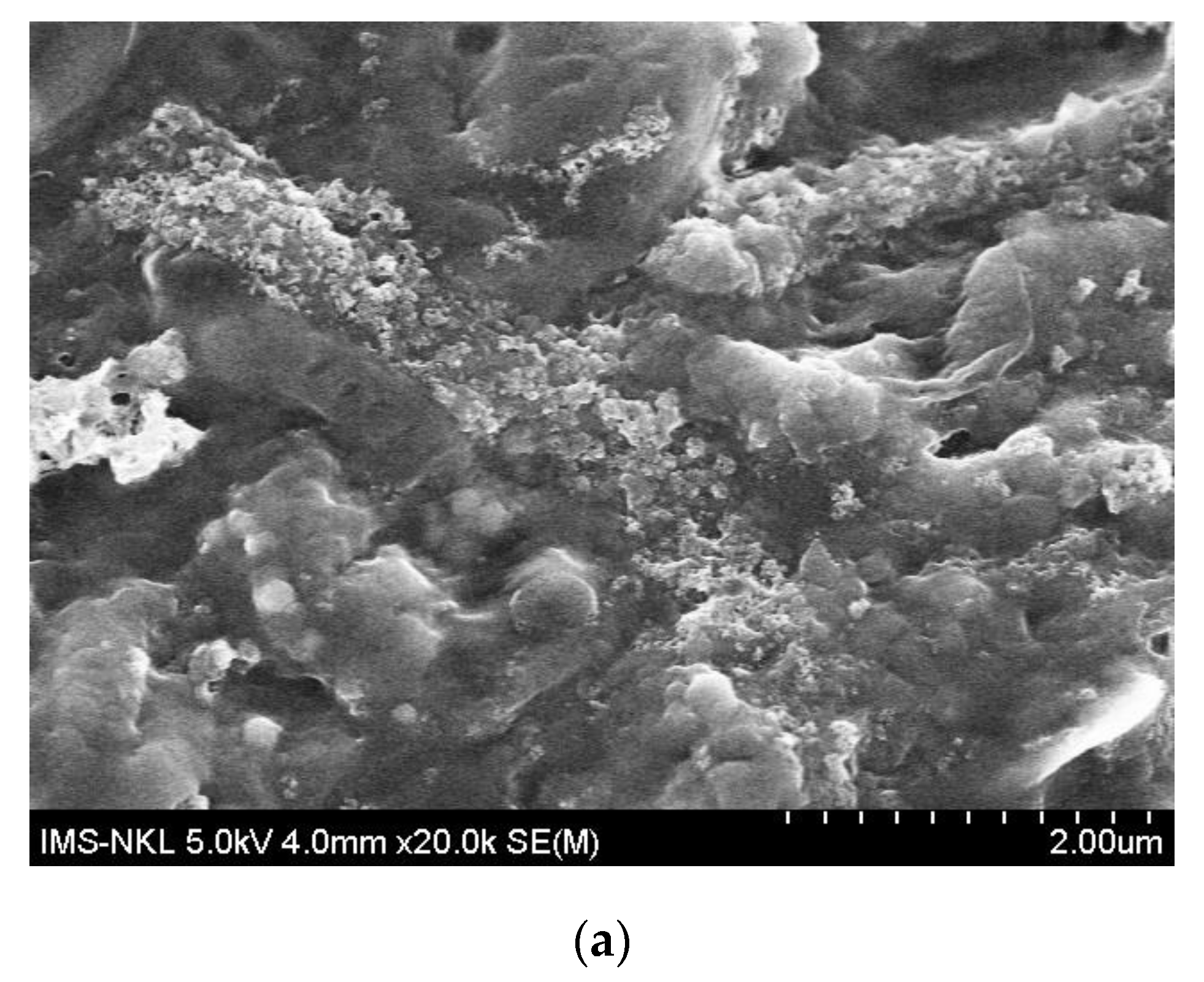 Processes 07 00743 g006a