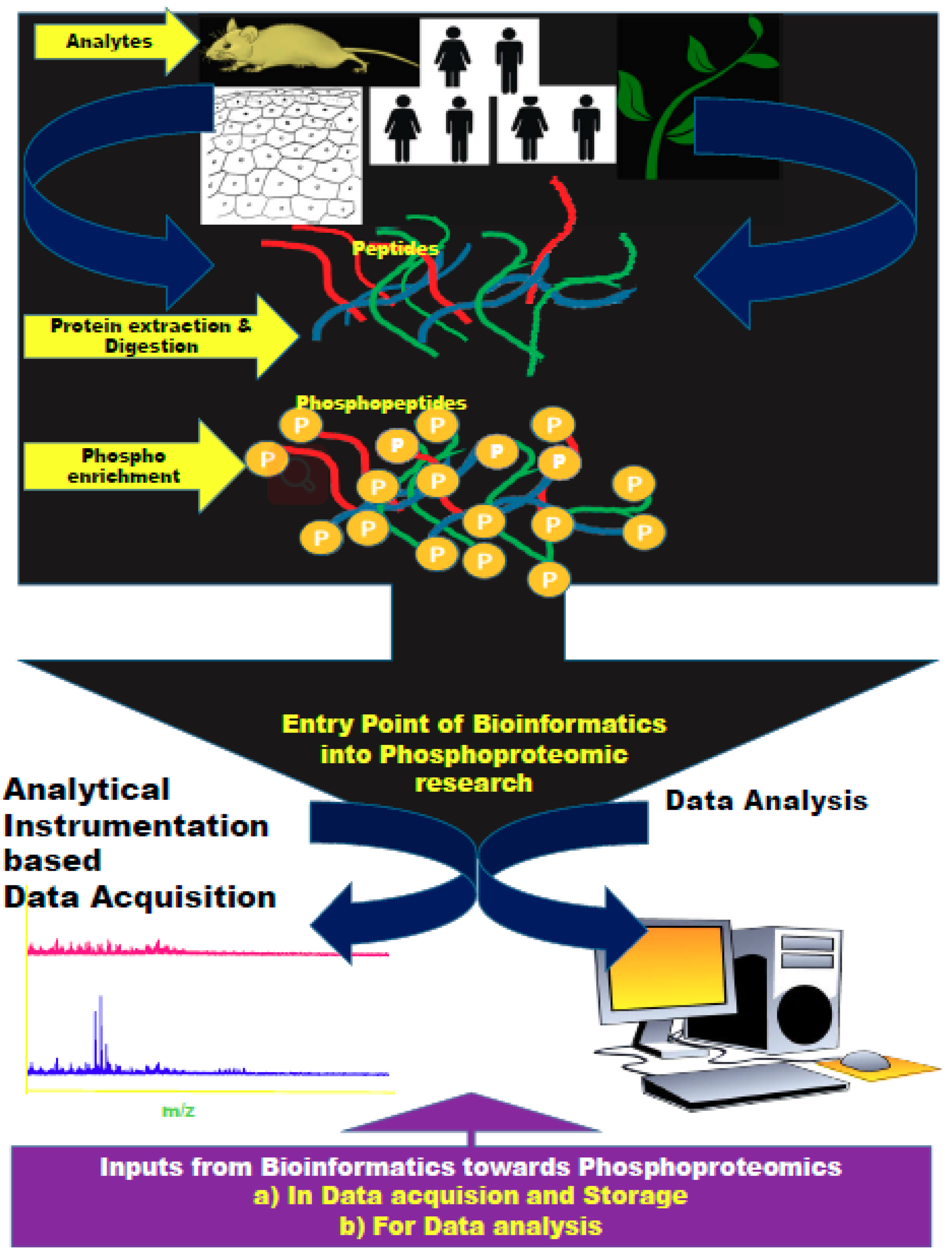 bioinformatics software