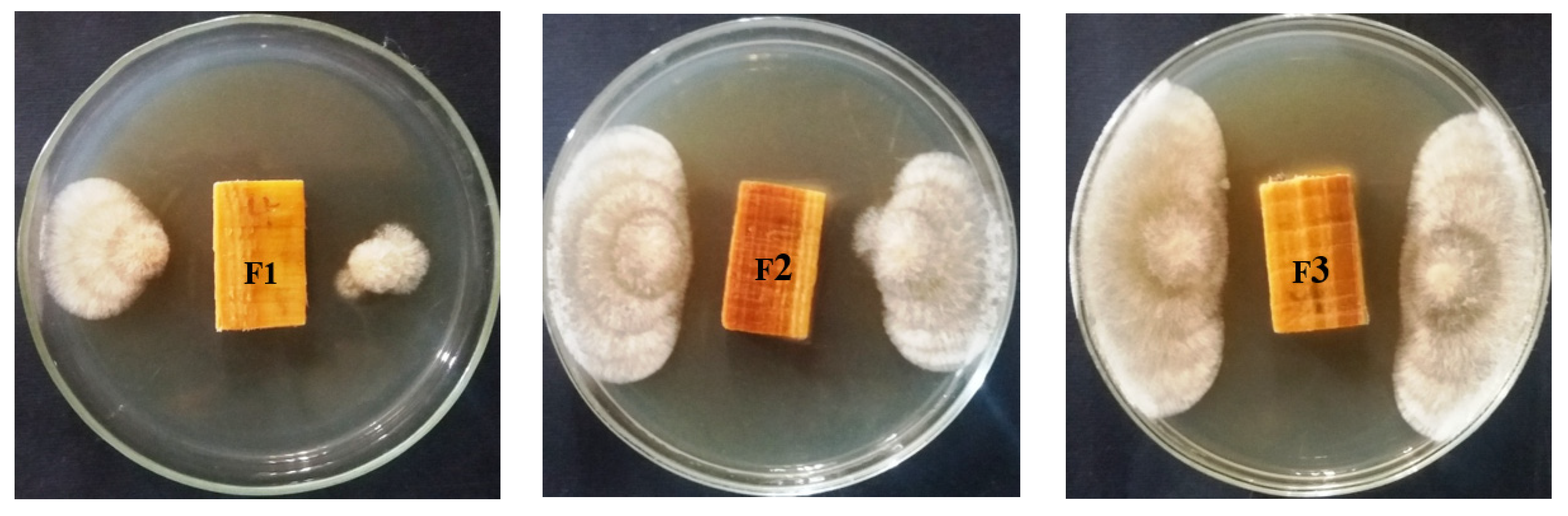 Processes 08 00330 g004b Processes 08 00330 g004b