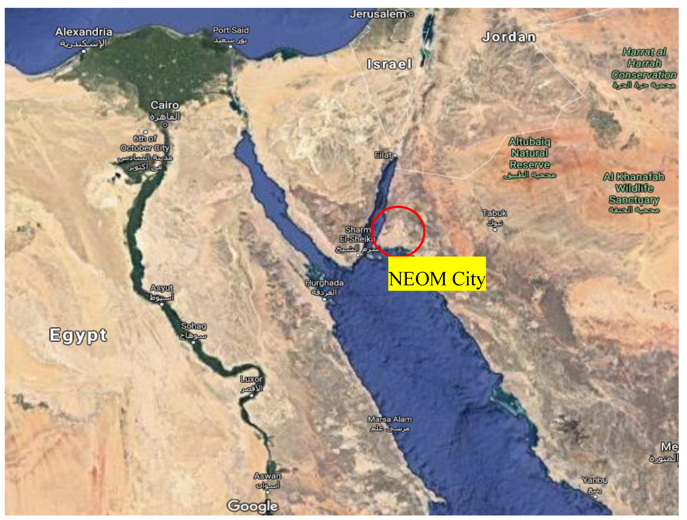 Processes 08 00382 g002