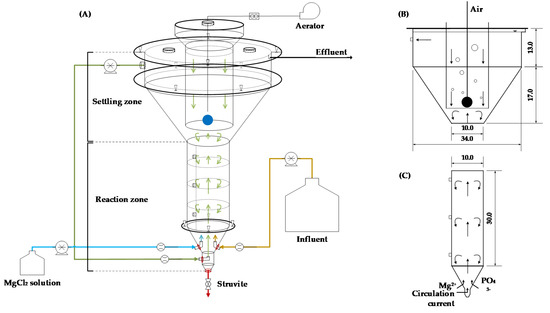 Processes | Free Full-Text | Design and Optimization of Fluidized Bed  Reactor Operating Conditions for Struvite Recovery Process from Swine  Wastewater
