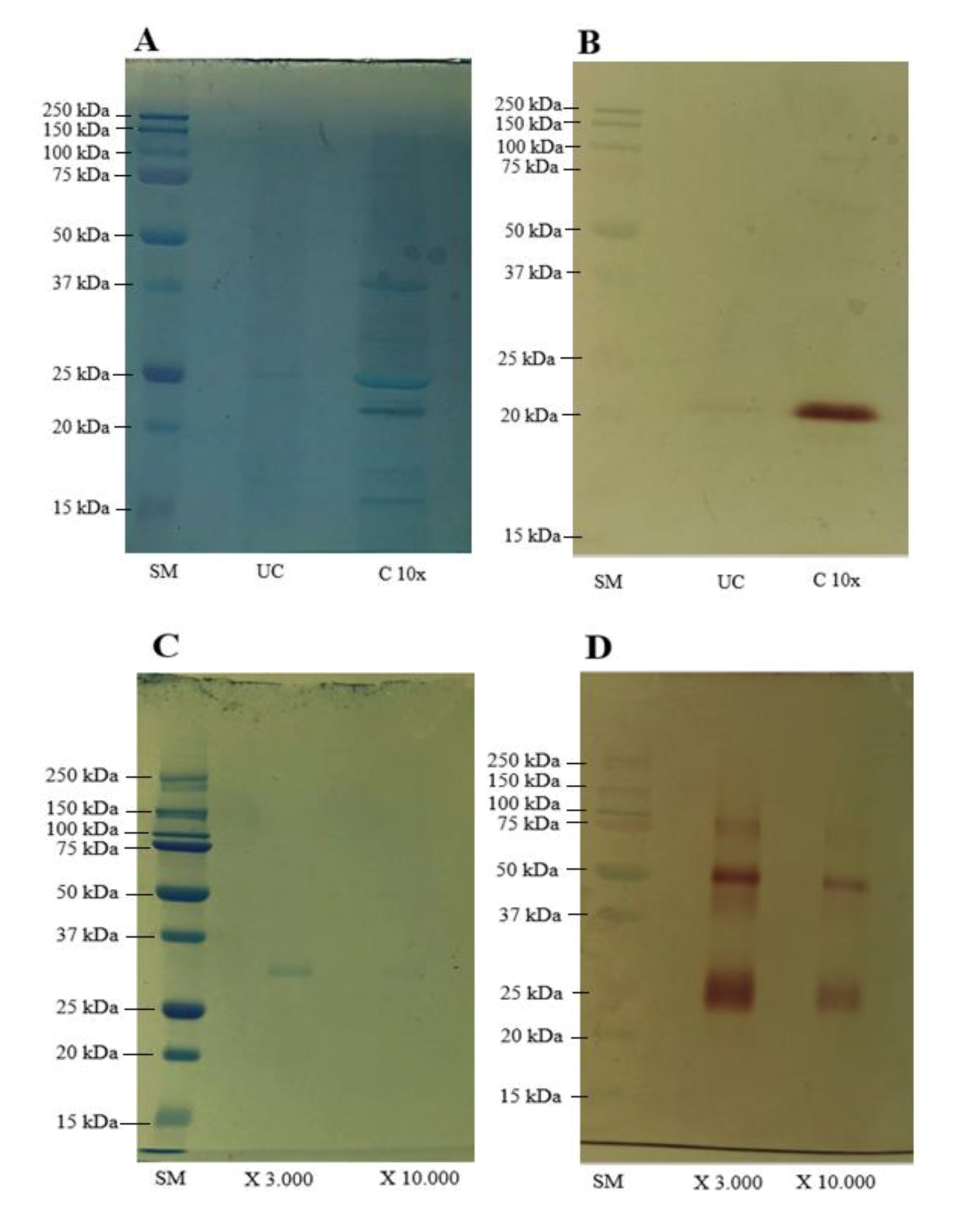 Processes 08 00450 g001 Processes 08 00450 g001
