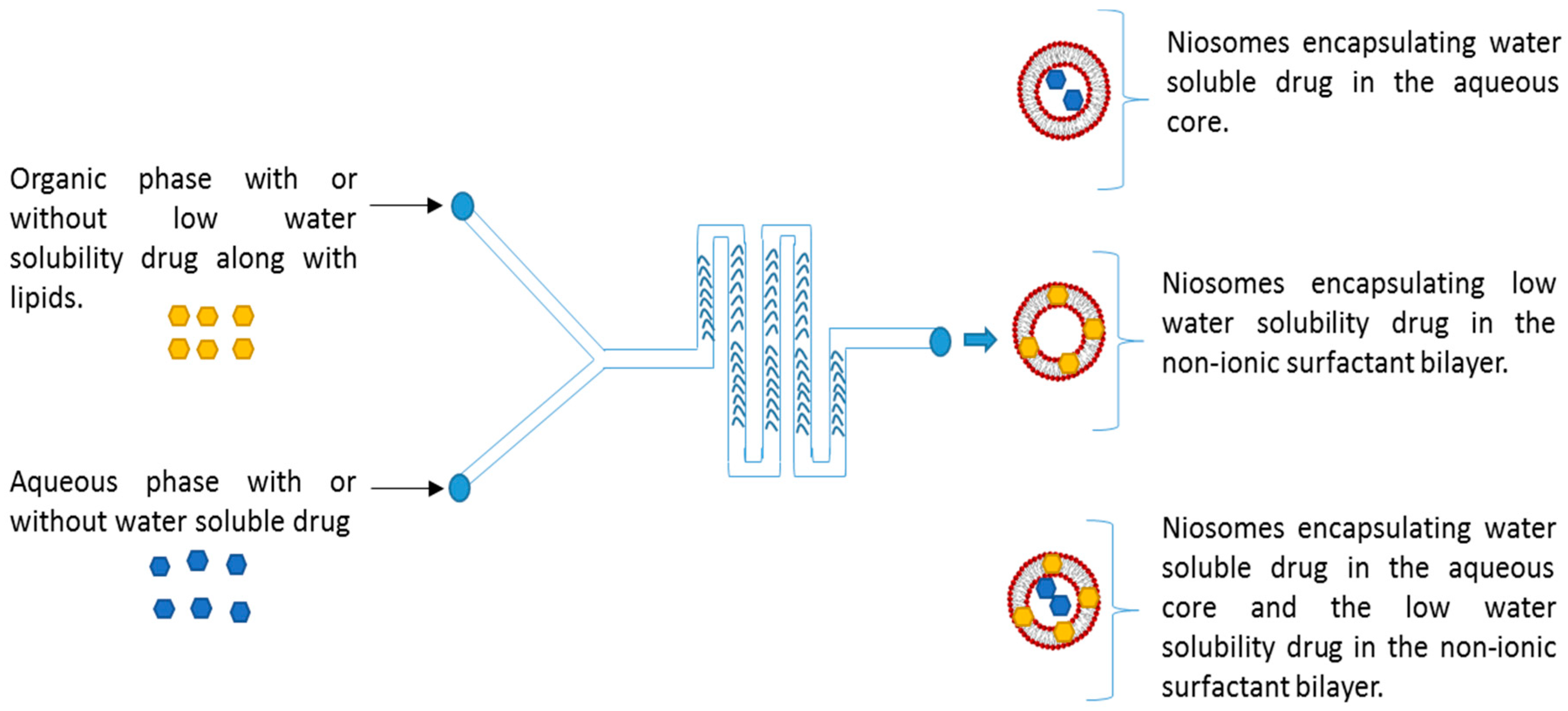 Processes 08 00535 g001 Processes 08 00535 g001
