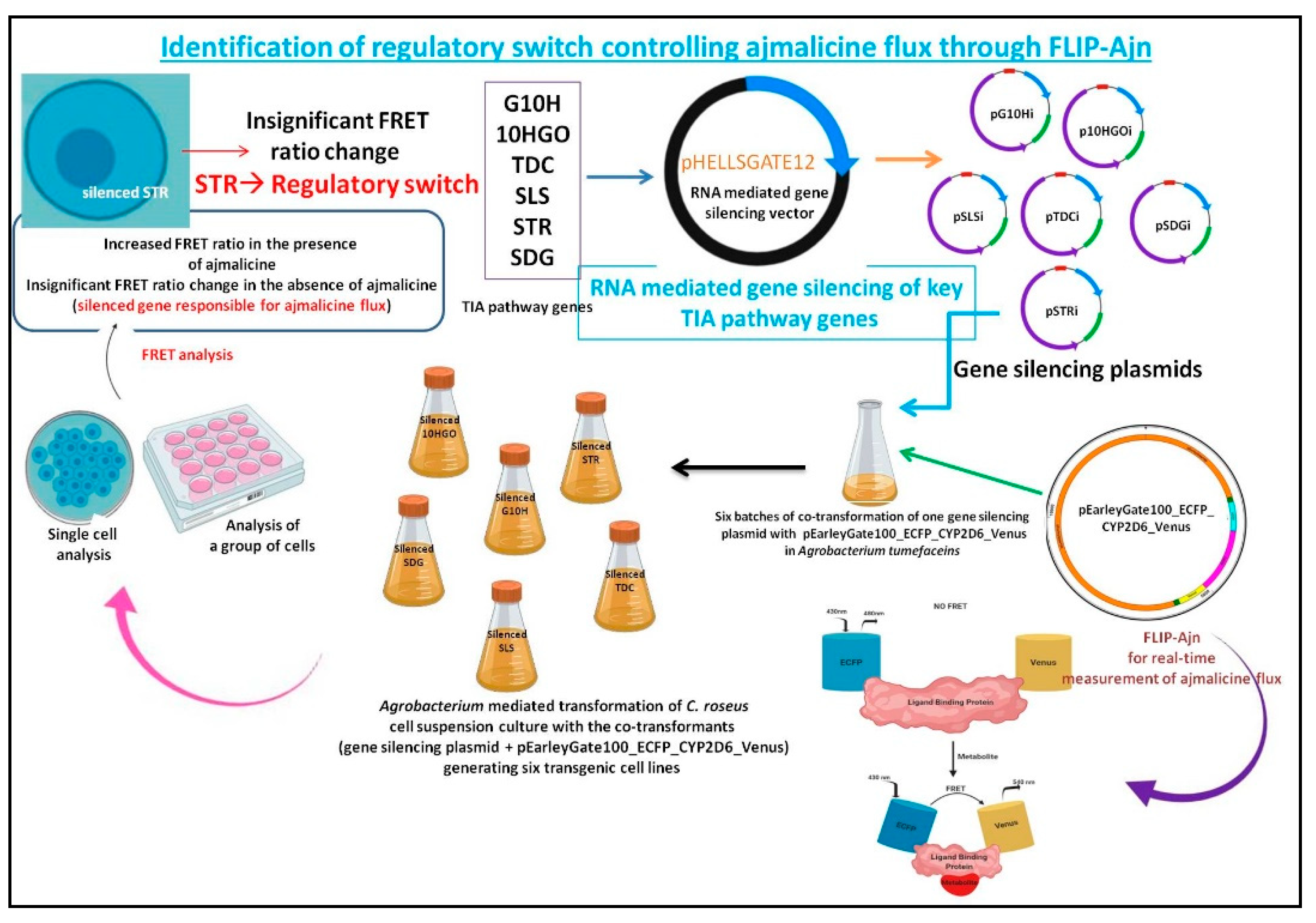 Processes 08 00589 g001