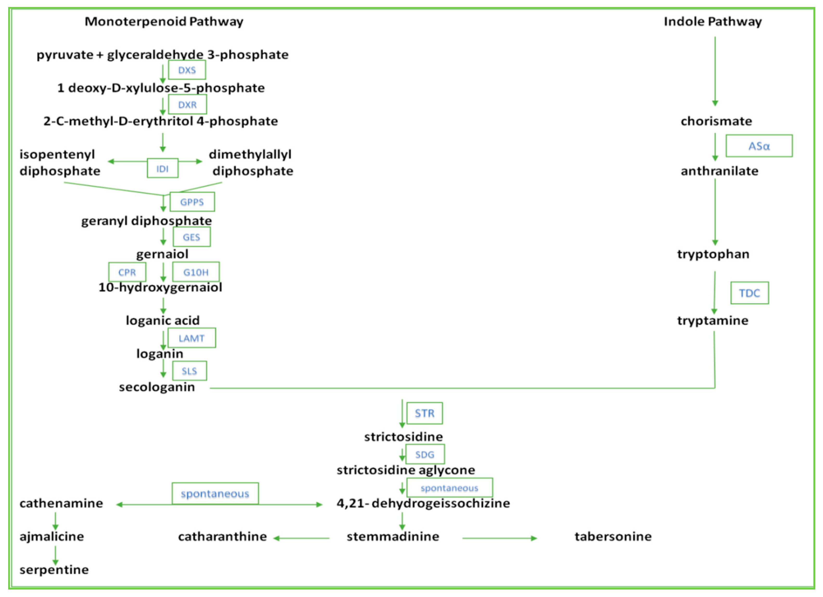 Processes 08 00589 g005
