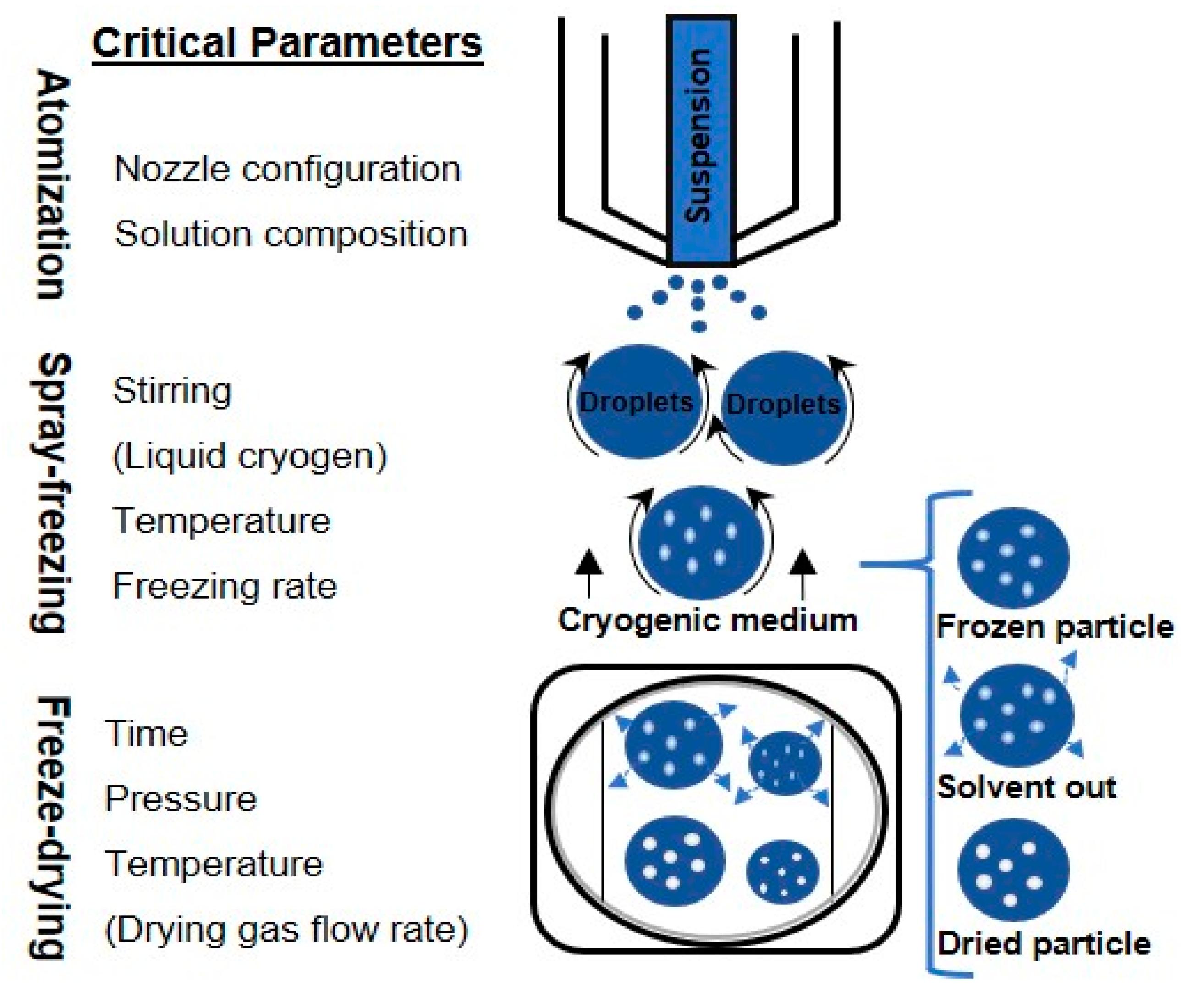 Lab Vacuum Freeze Dryer Lyophilizer Sublimation Freezing Drying