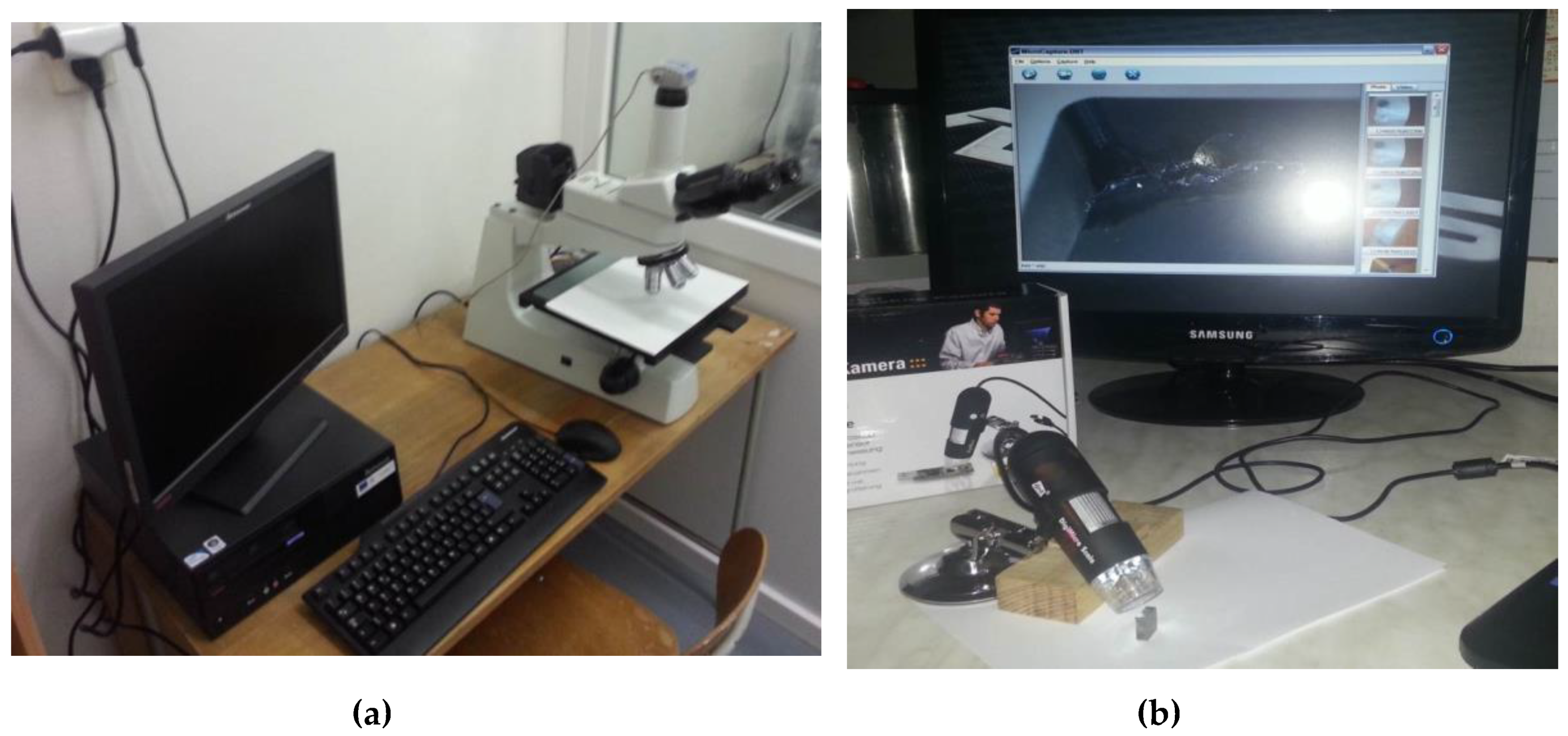 Processes 08 00789 g006