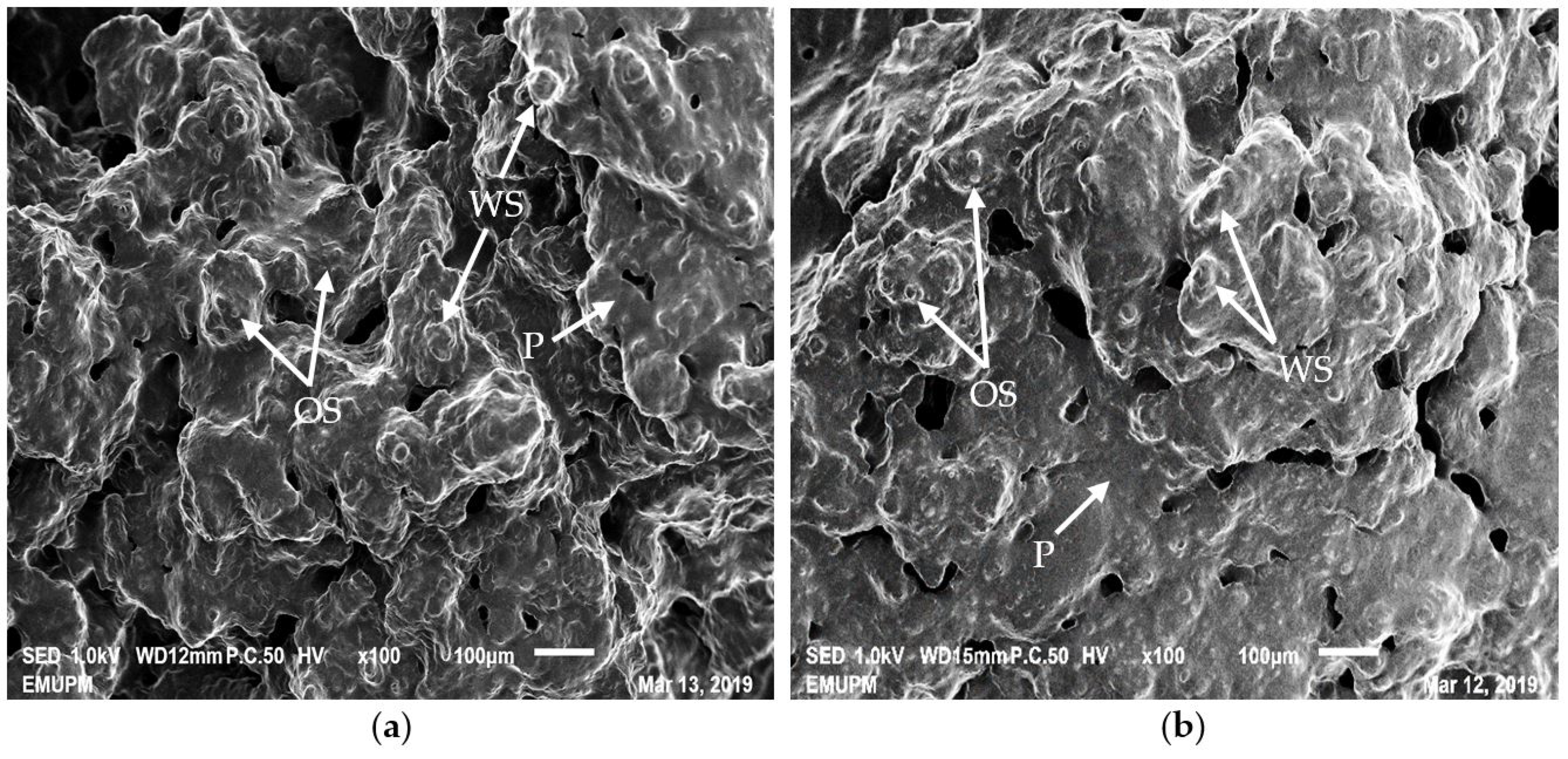 Processes 08 00797 g003 Processes 08 00797 g003