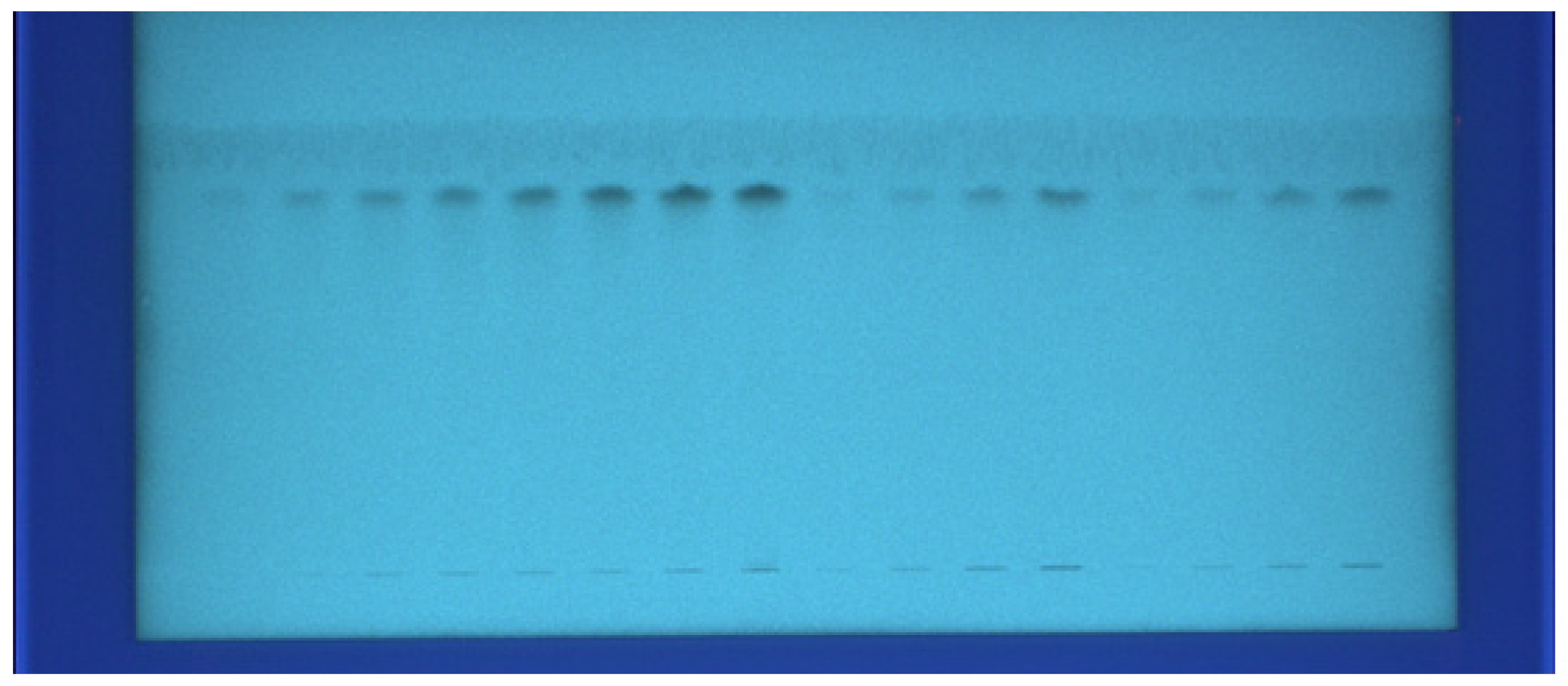 Processes 08 00817 g001 Processes 08 00817 g001