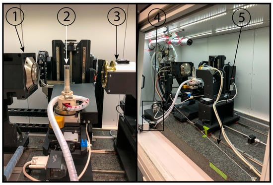 Freeze Dry Machine: Discover the advantages of Using one - Holland Green  Science europe