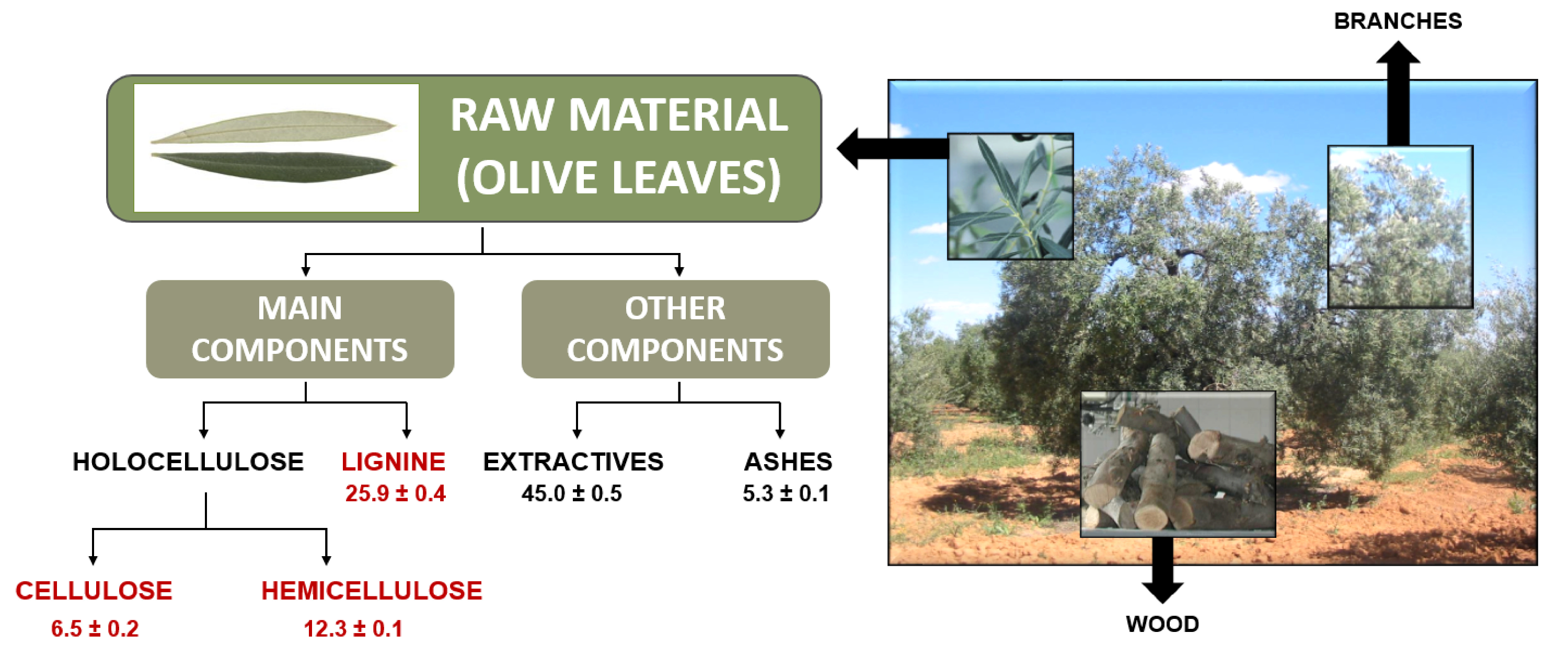 Asian Elephant Food Web