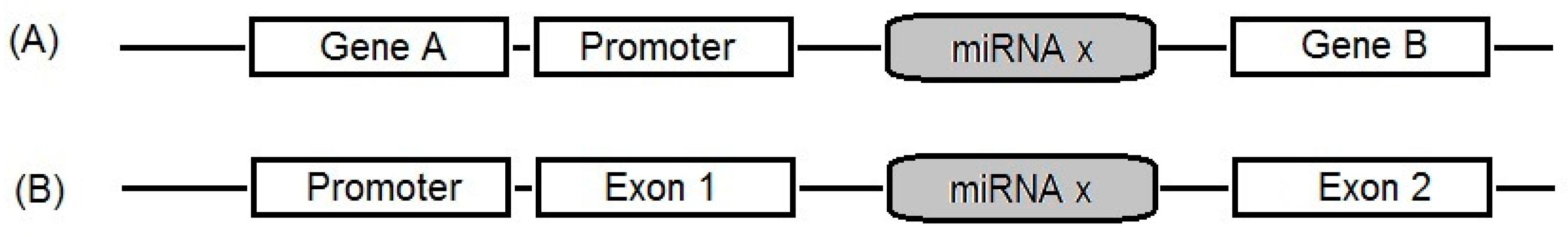 Processes 08 00966 g001 Processes 08 00966 g001
