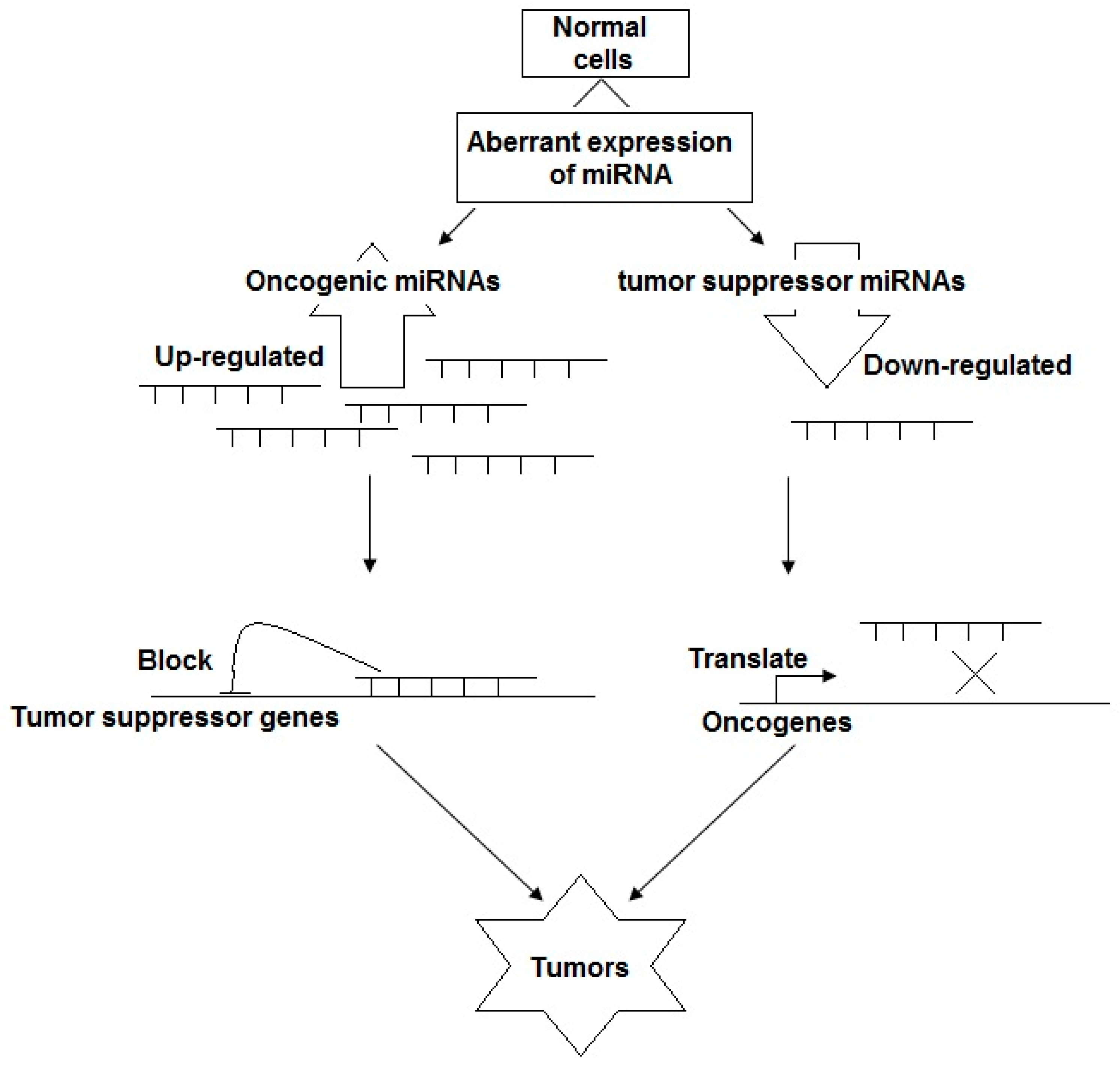 Processes 08 00966 g004 Processes 08 00966 g004