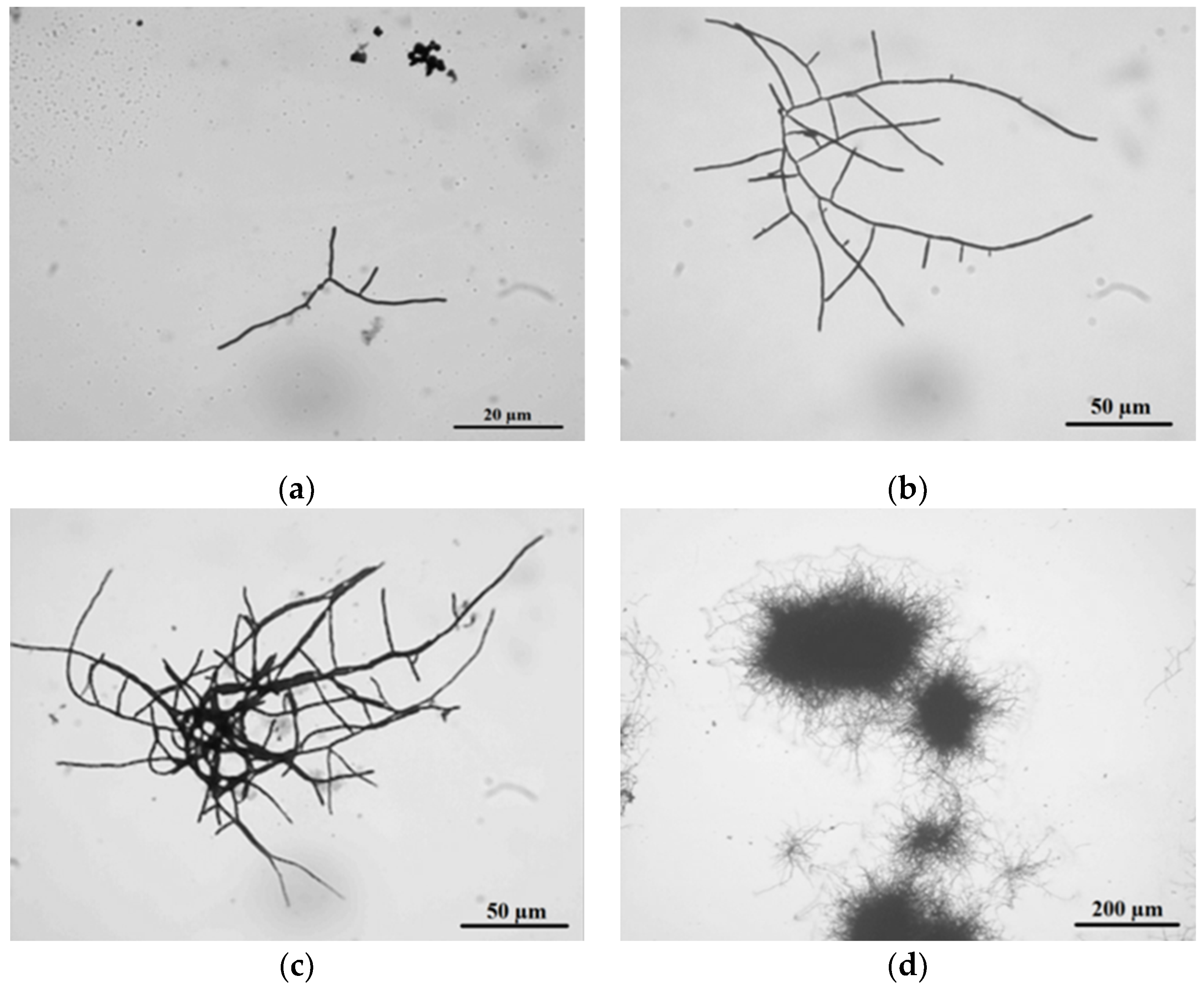 Processes 08 01038 g003 Processes 08 01038 g003