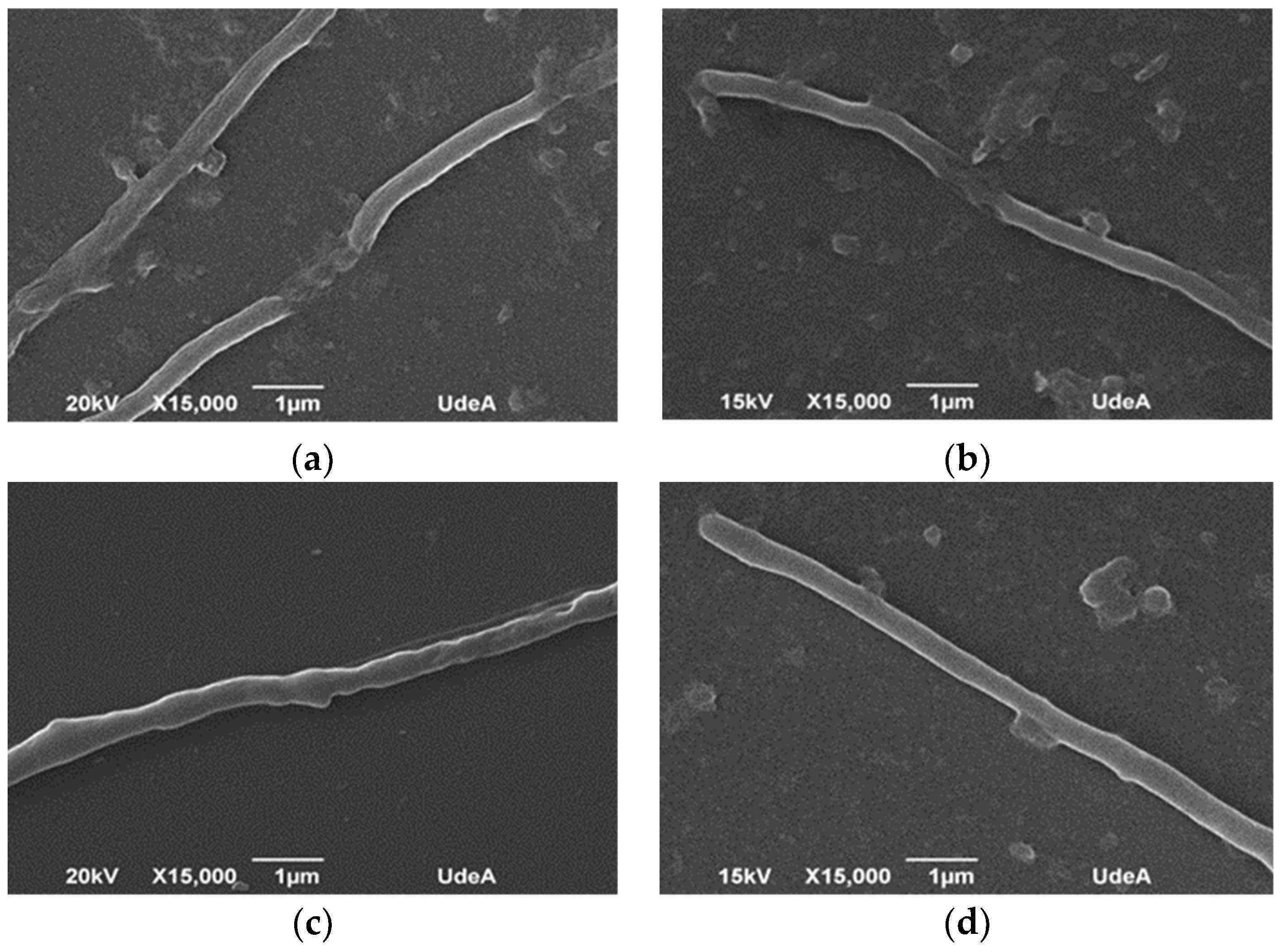 Processes 08 01038 g006 Processes 08 01038 g006