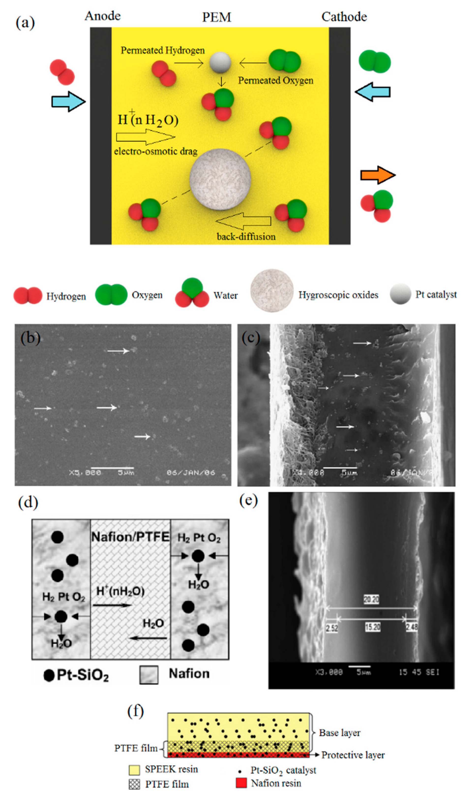 Processes 08 01069 g002