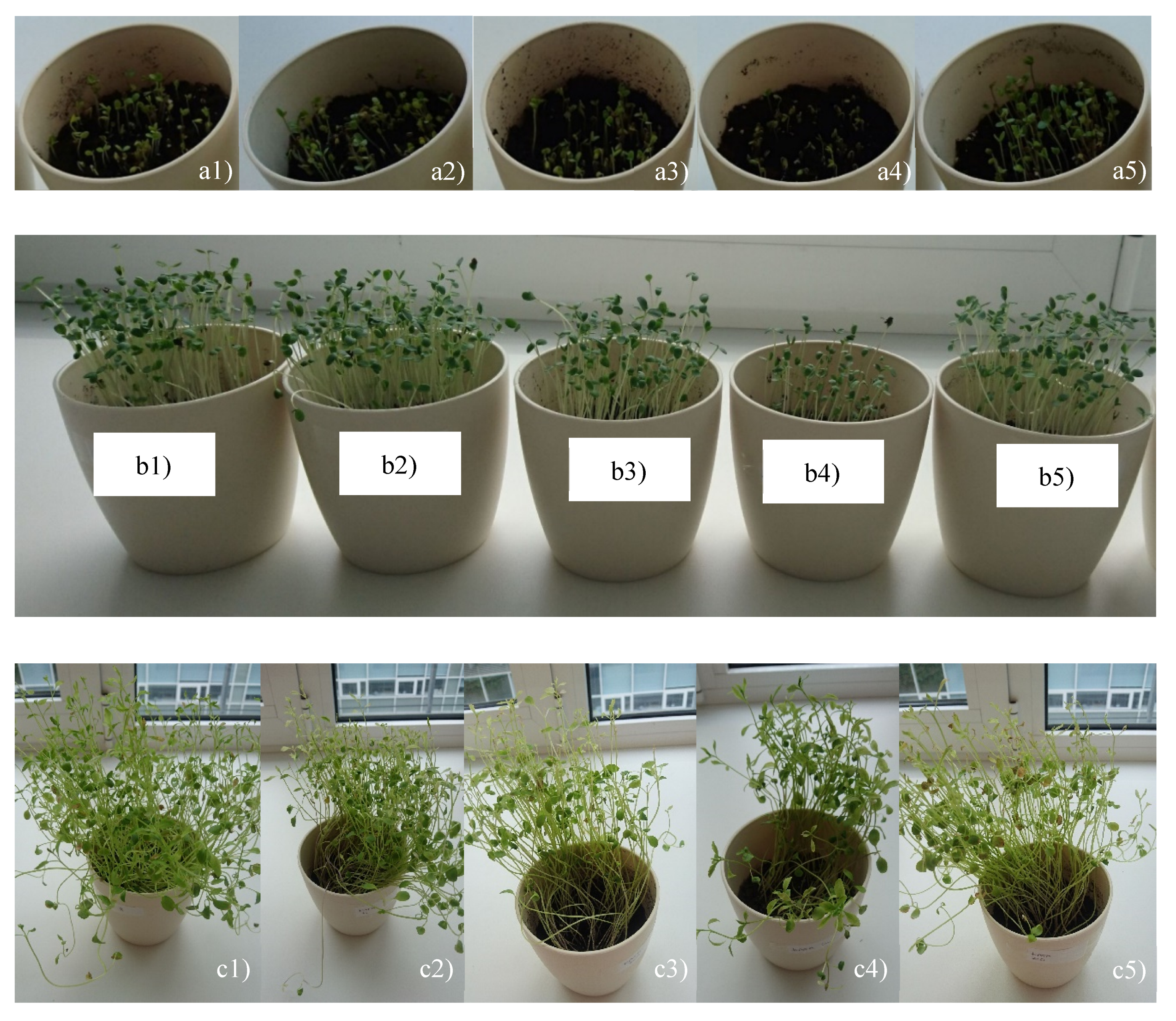 Processes 08 01116 g001 Processes 08 01116 g001