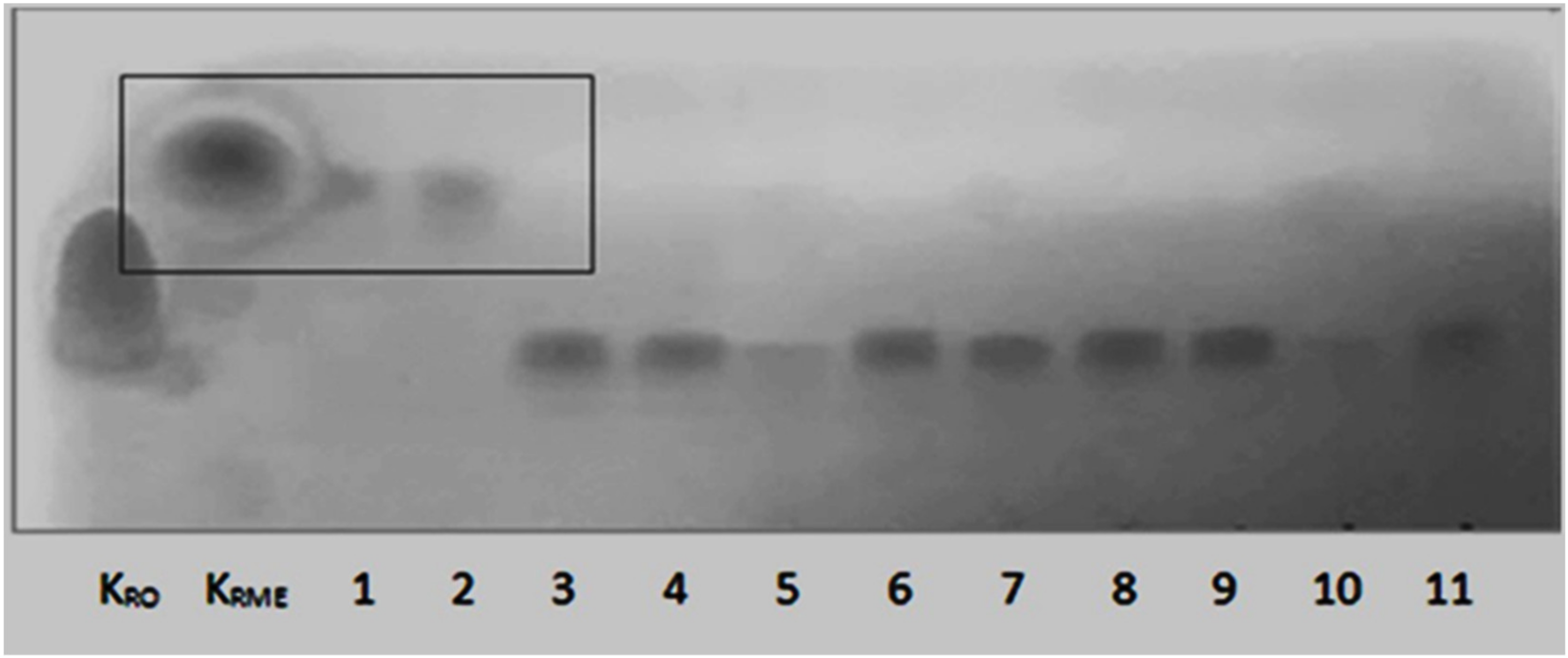 Processes Free Full Text Lipase Catalysed In Situ Transesterification Of Waste Rapeseed Oil To Produce Diesel Biodiesel Blends Html