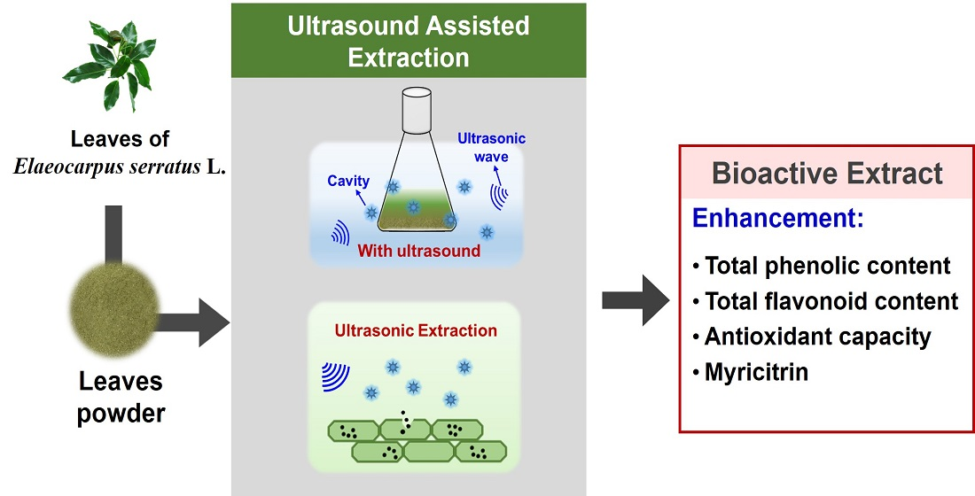 Processes | Free Full-Text | Ultrasound-Assisted Extraction Of ...