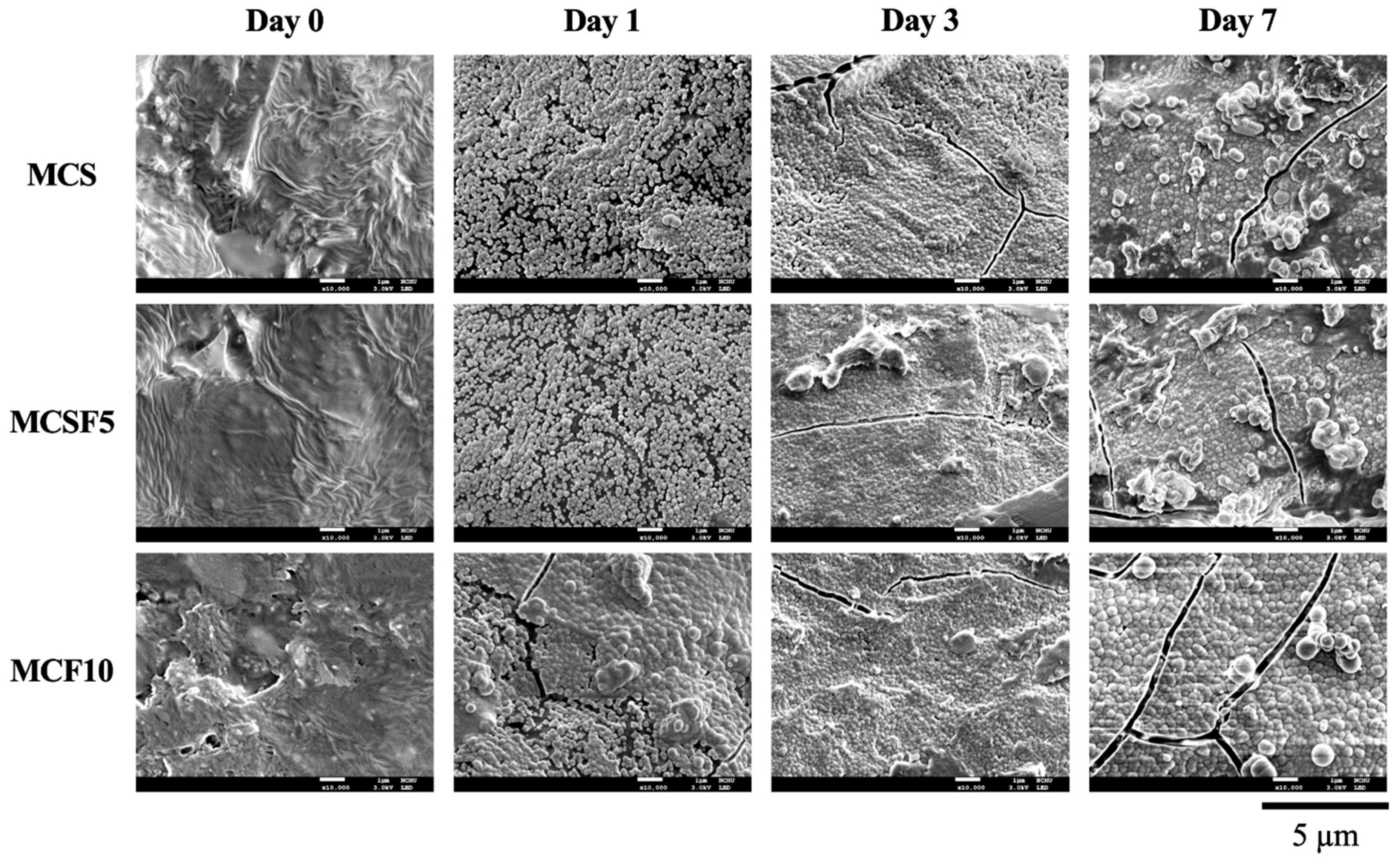 Processes 08 01249 g003