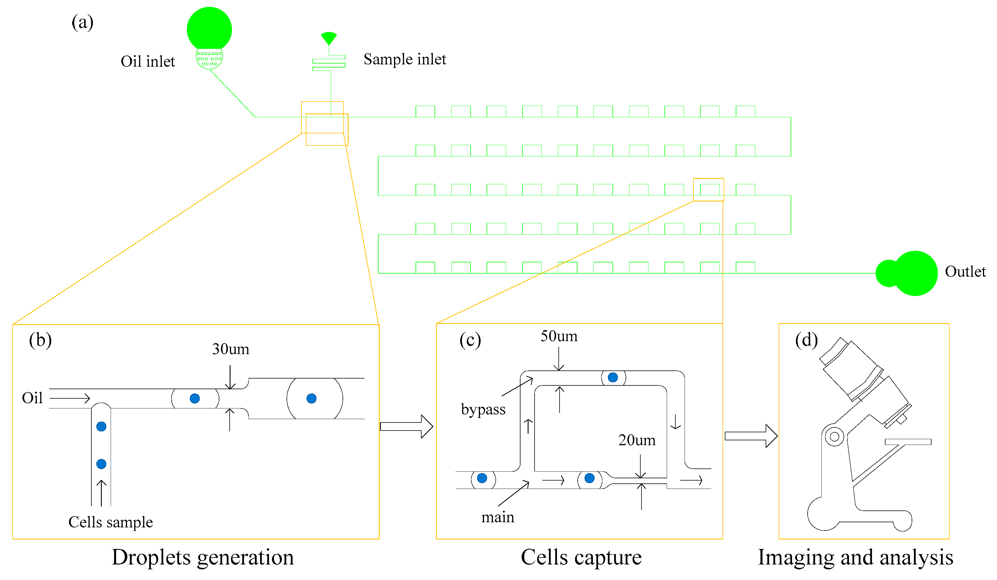 Processes 08 01253 g003 Processes 08 01253 g003