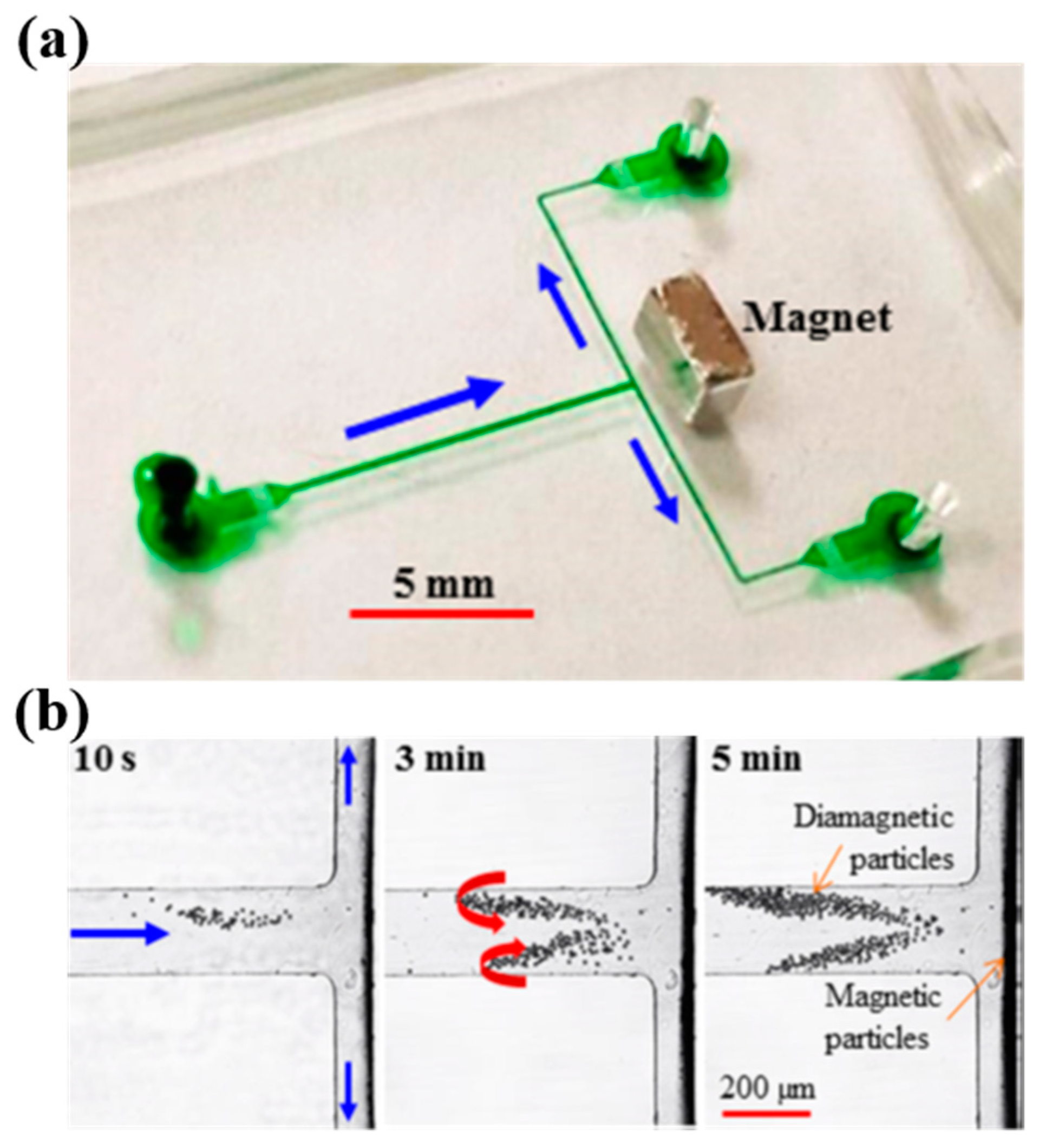 Processes 08 01253 g015 Processes 08 01253 g015