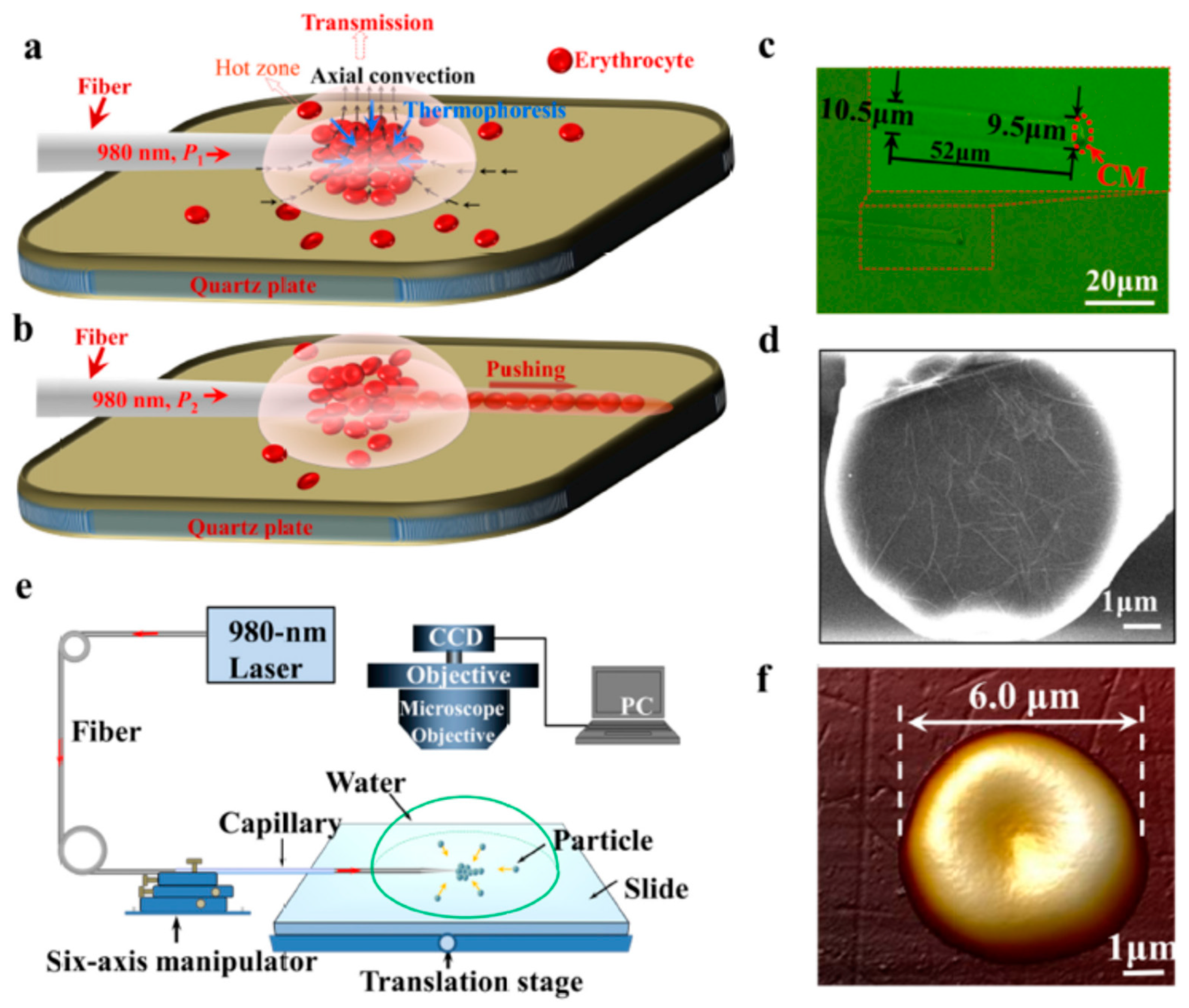 Processes 08 01253 g018 Processes 08 01253 g018
