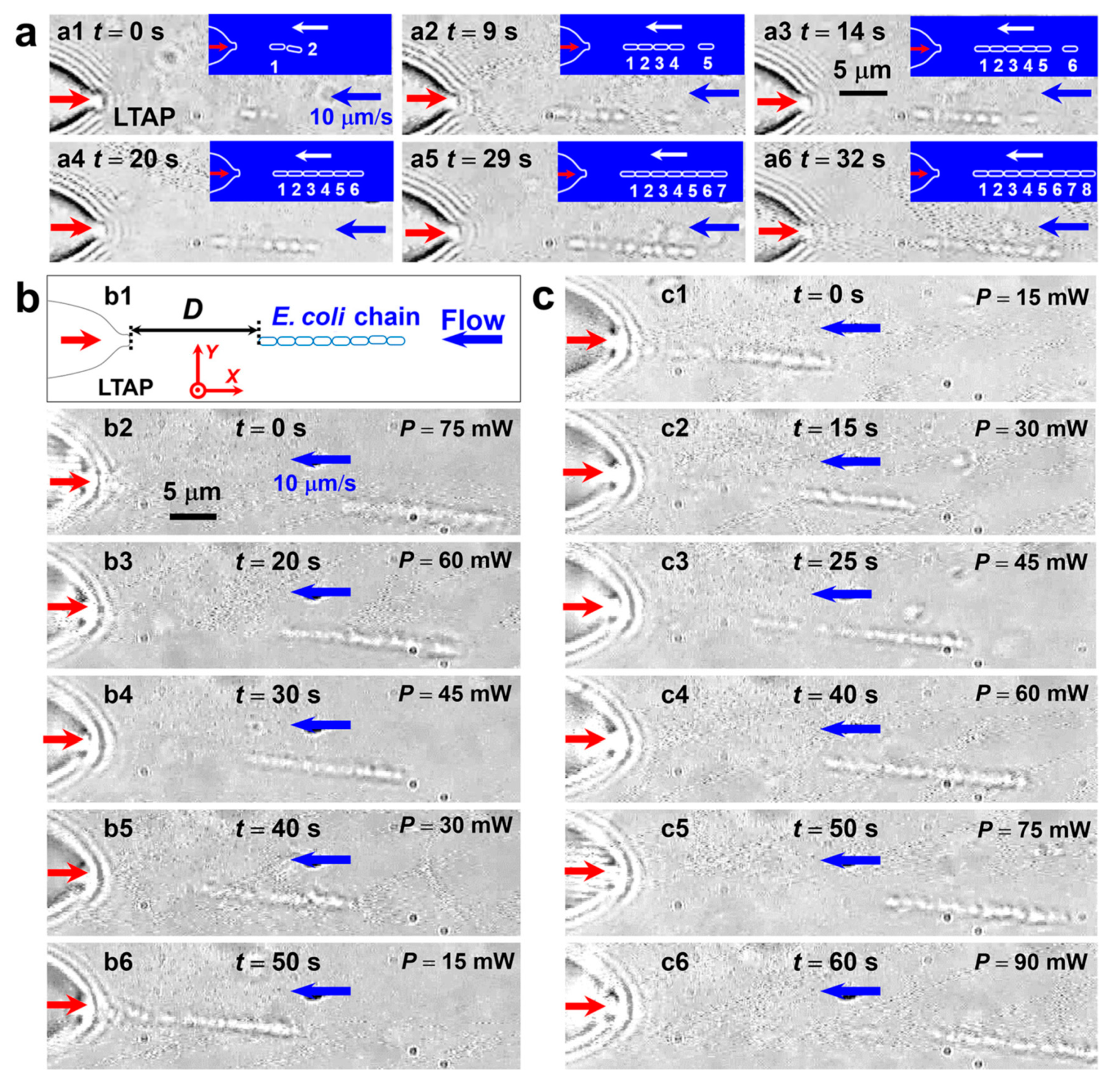 Processes 08 01253 g023 Processes 08 01253 g023